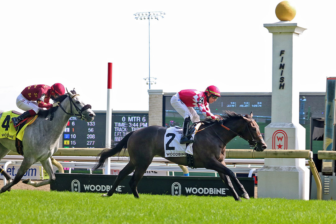 Diabolic wins the 2021 Catch A Glimpse Stakes at Woodbine