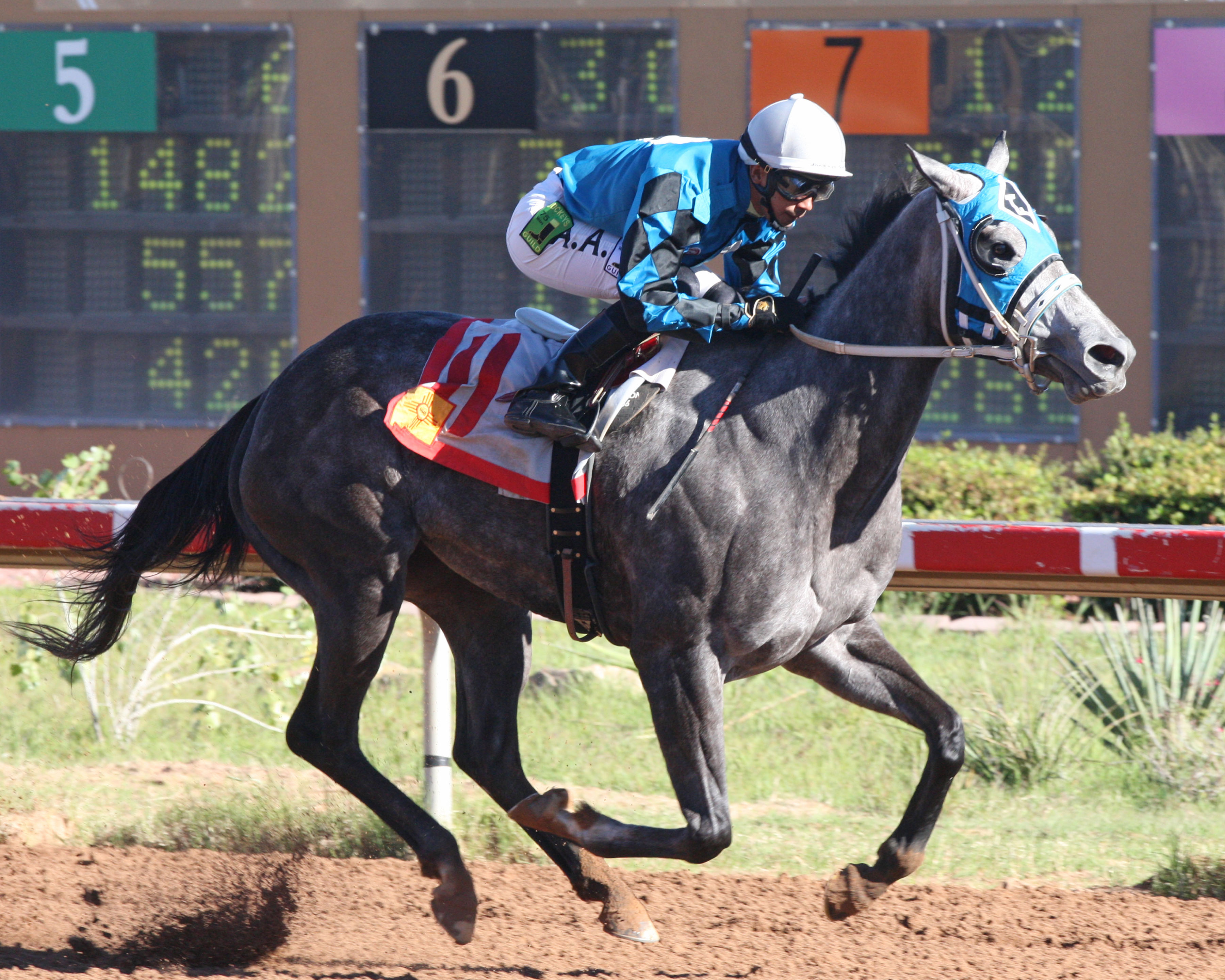 Diabolical Dame wins the New Mexico Classic Cup Oaks Championship