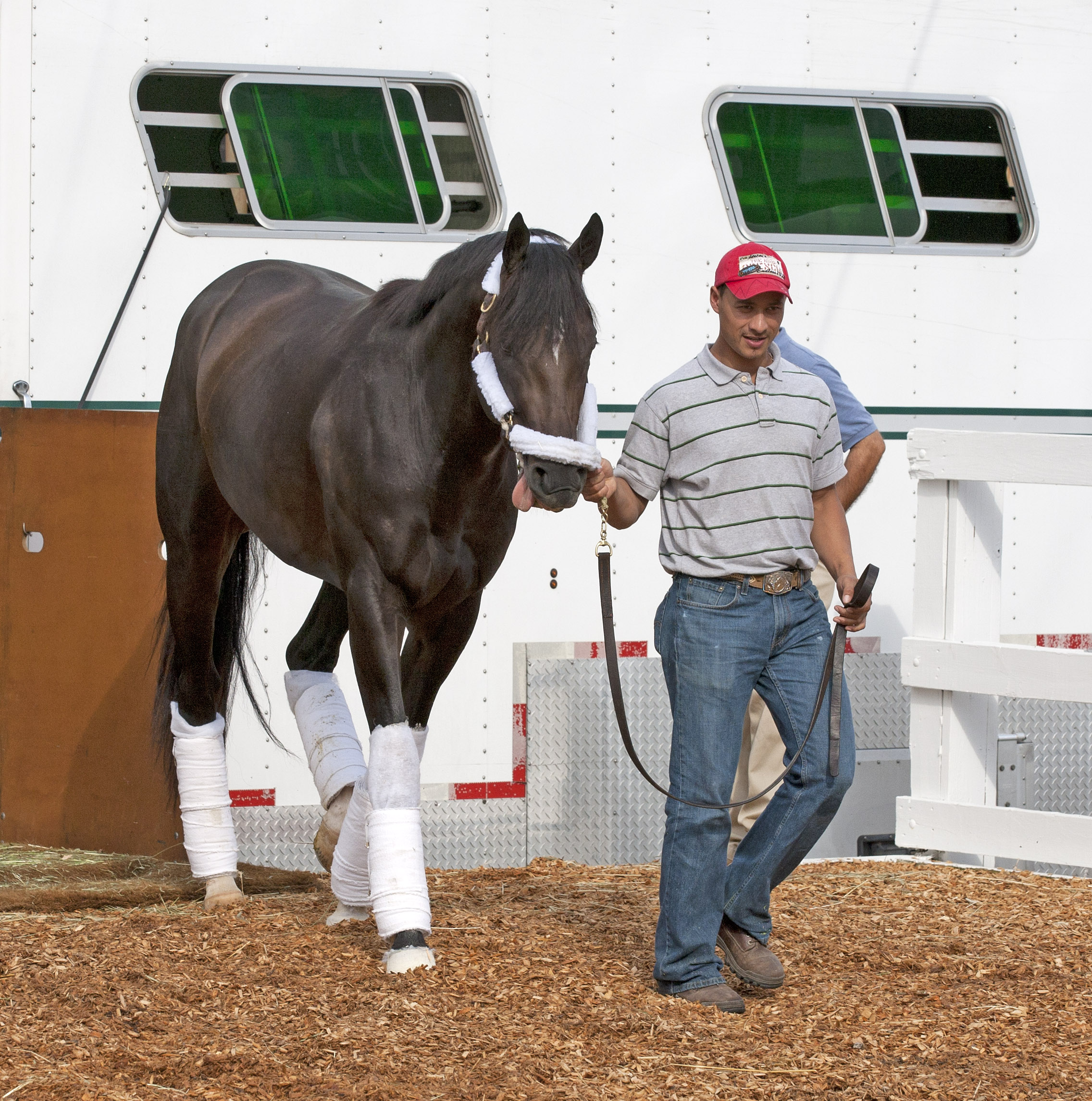 Dialed In arrives for Preakness