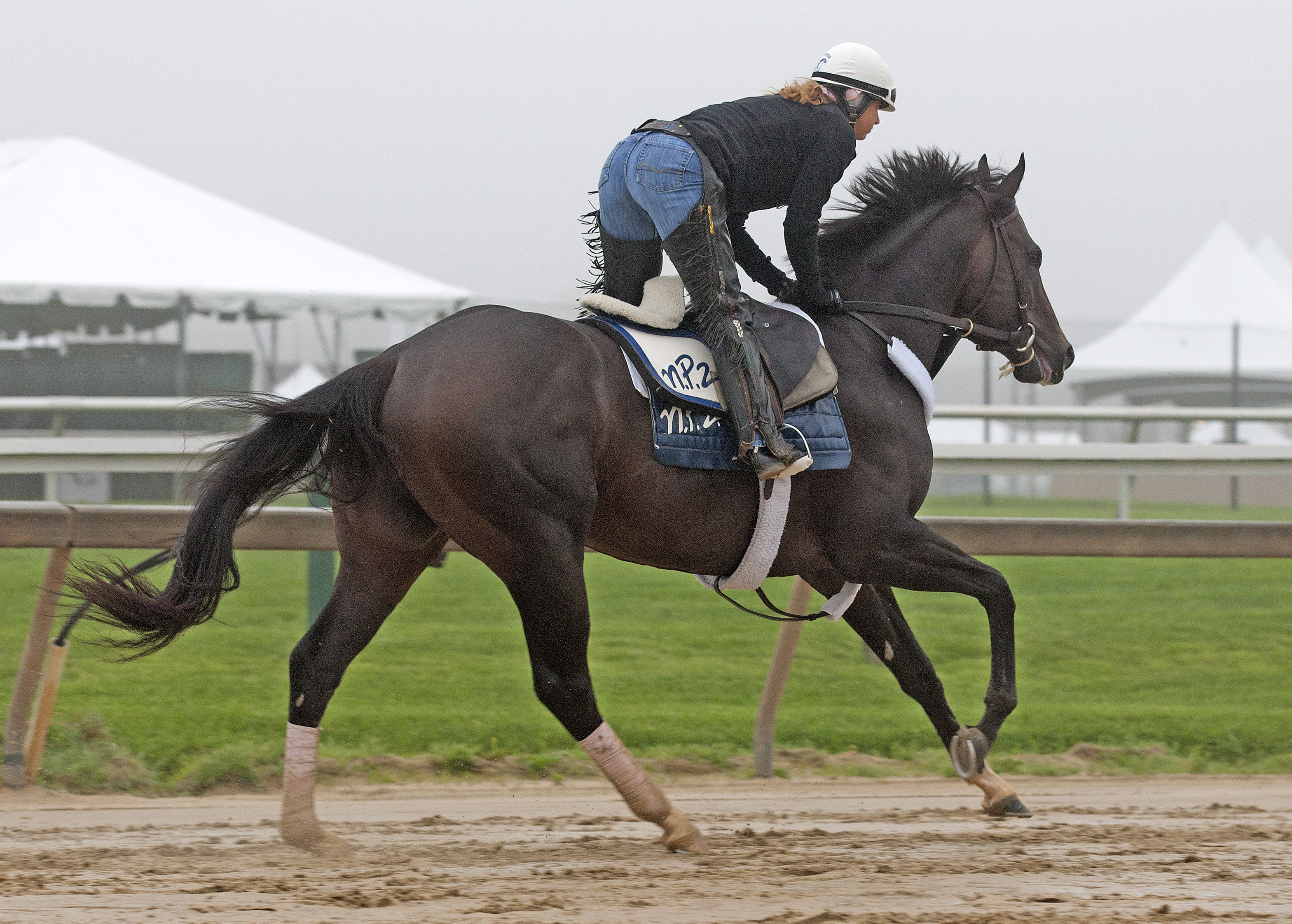 Dialed In trains at Pimlico