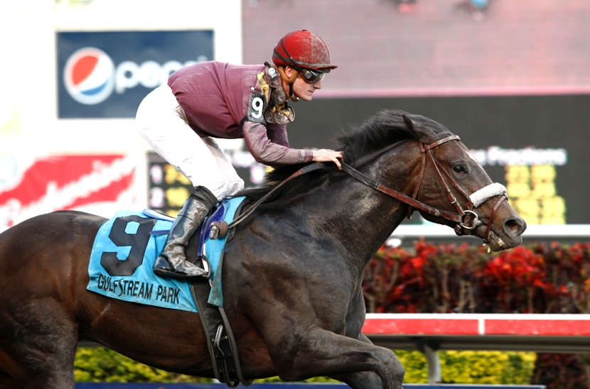 Dialed In wins the Holy Bull