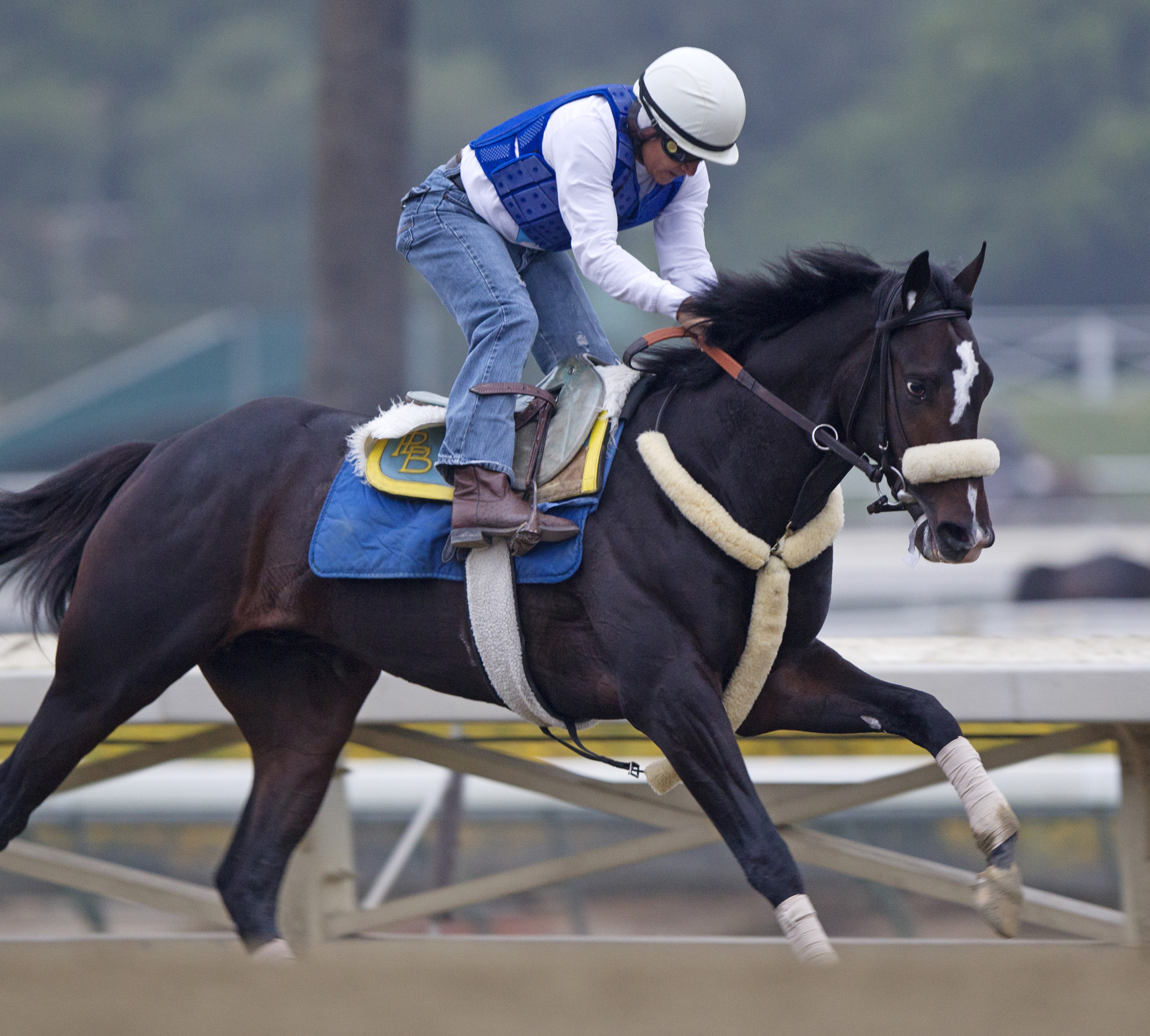 Diamond Bachelor training at Santa Anita