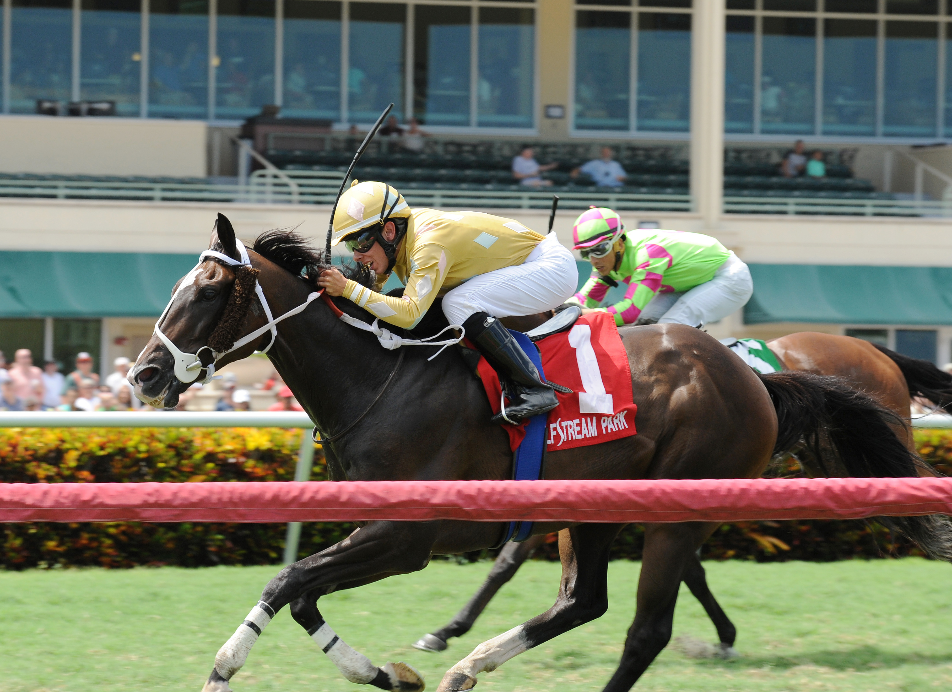 Lane Luzzi wins The Vid Stakes aboard Diamond Bachelor