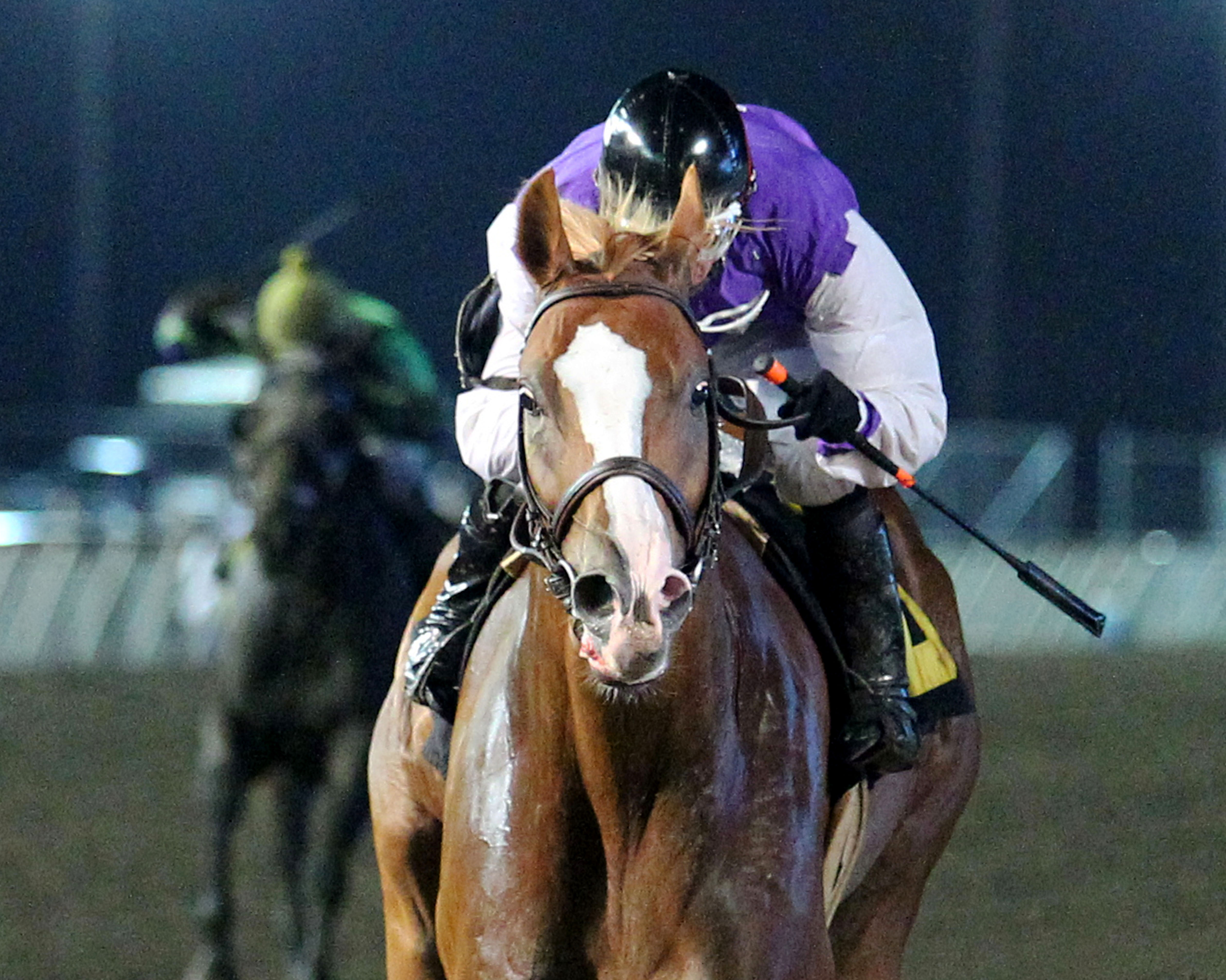 Diamond Joe wins the John Bullit Overnight Stakes