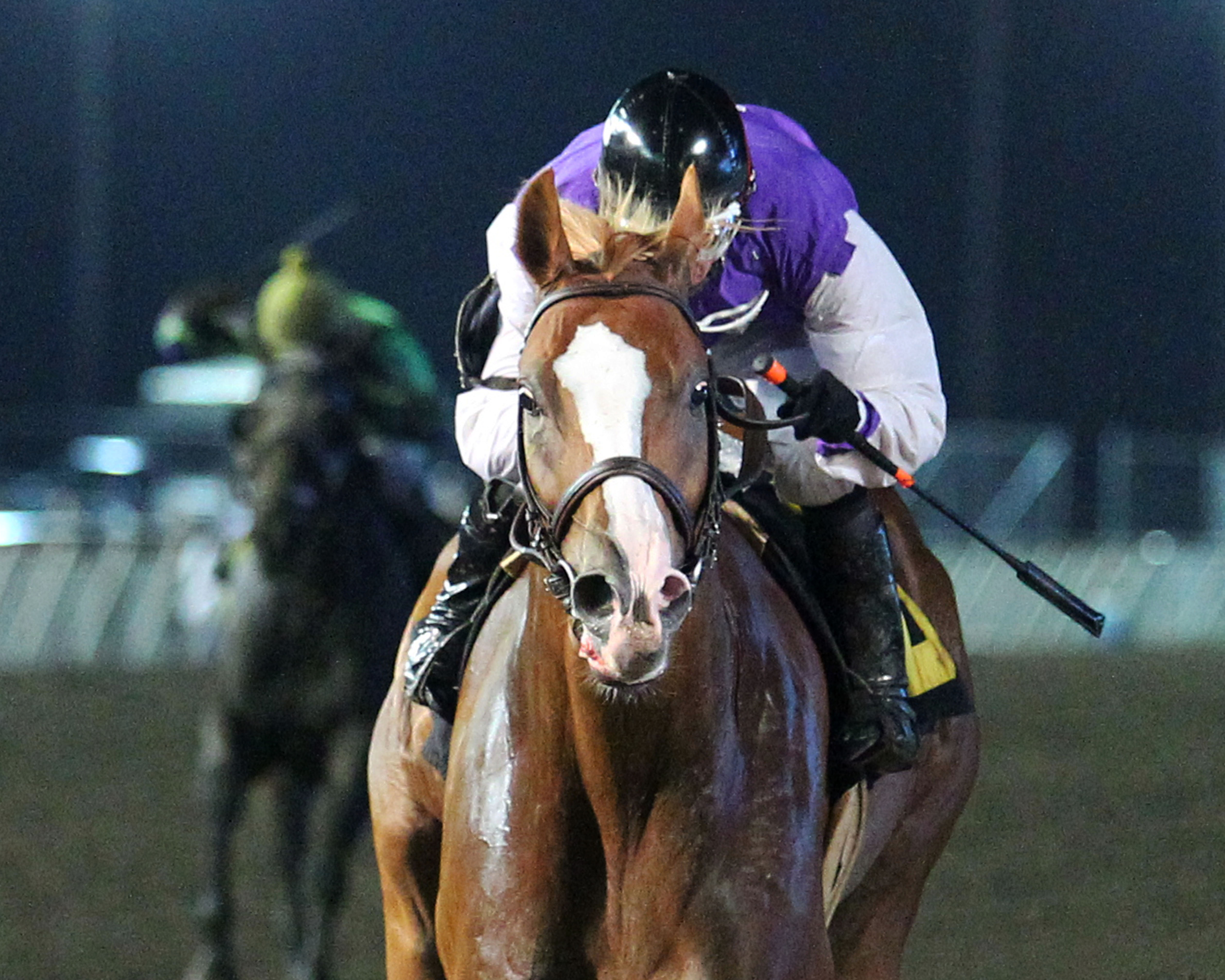 Diamond Joe wins the John Bullit Overnight Stakes