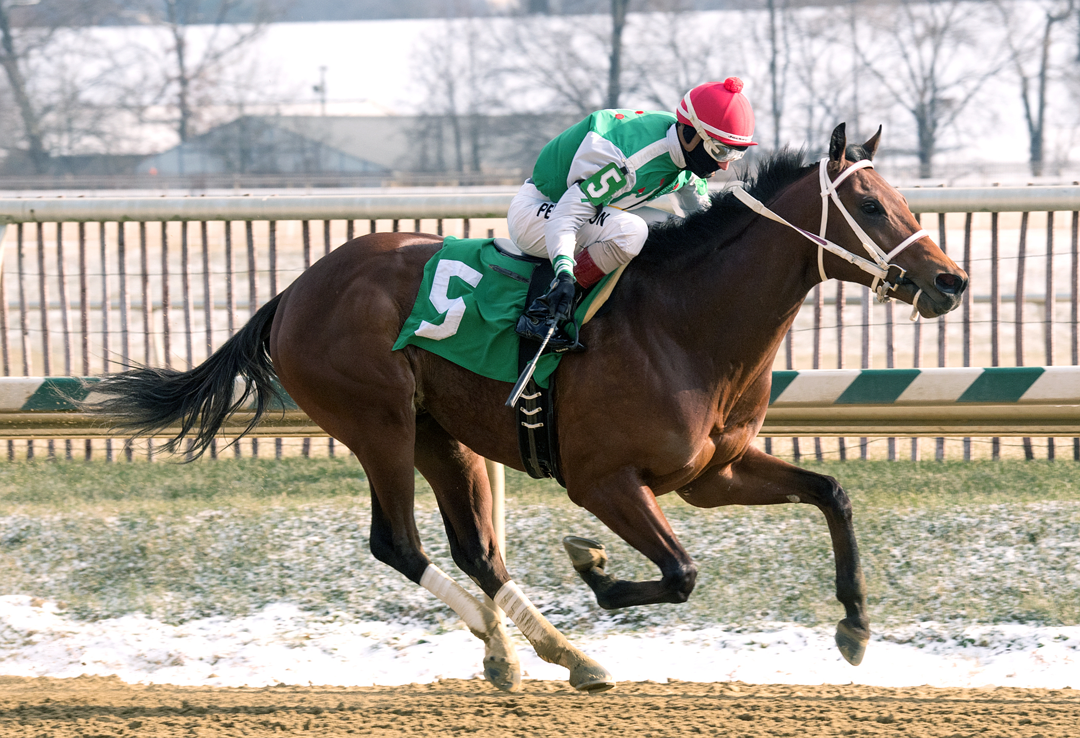 Diamond King wins 2017 Heft Stakes