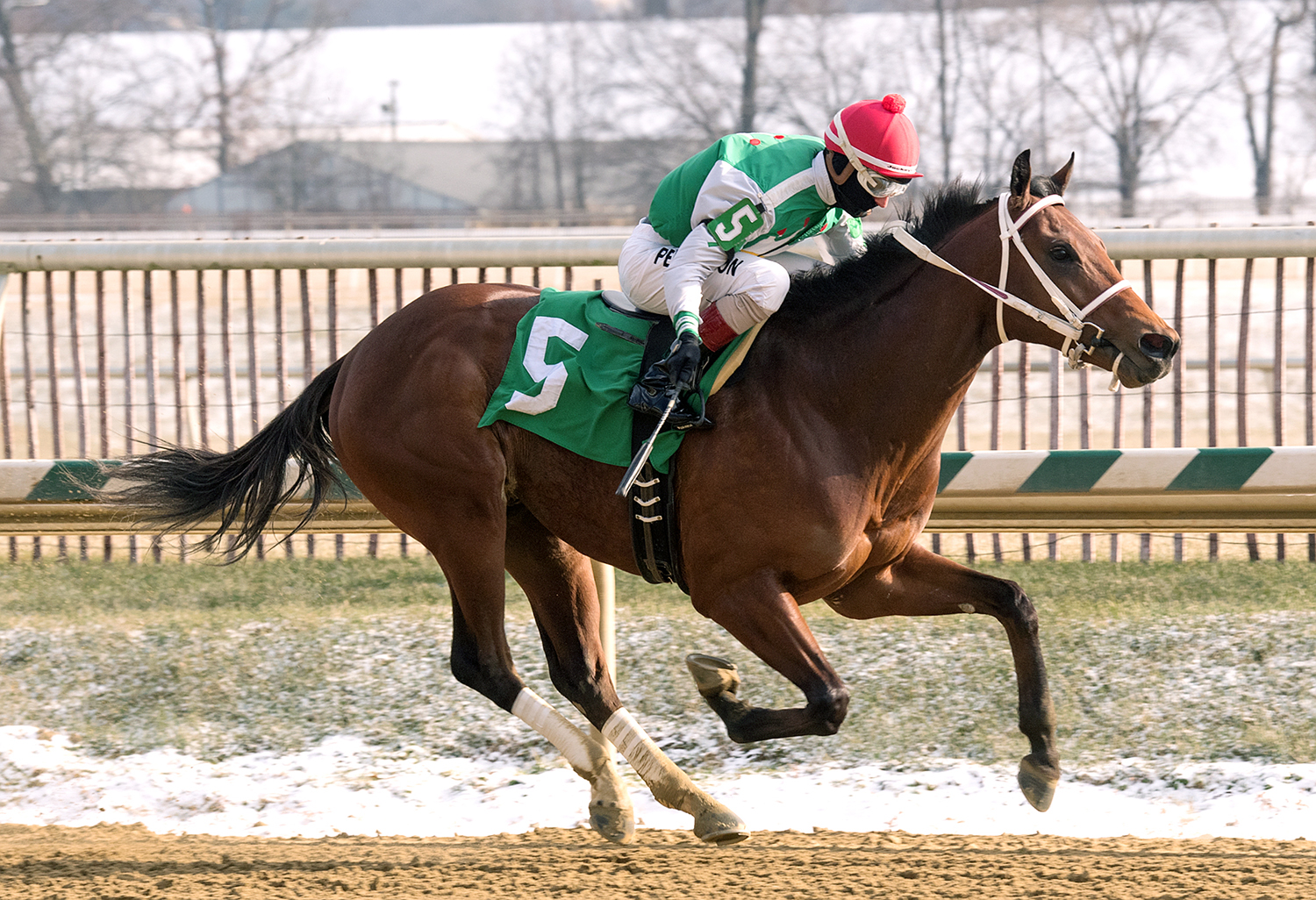 Diamond King wins the 2017 Heft Stakes