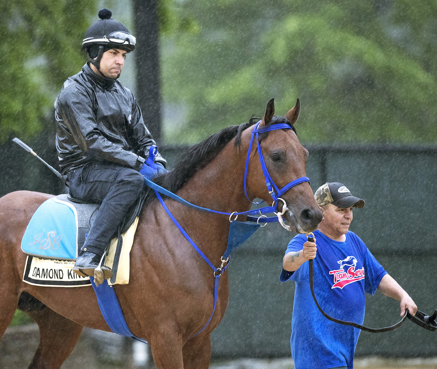 Diamond King at Pimlico on May 17