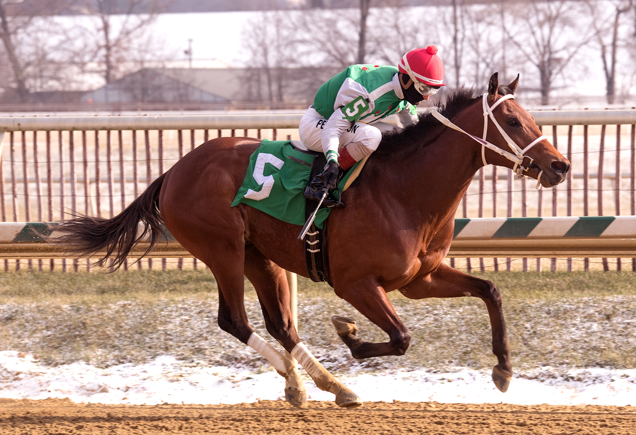 Diamond King wins 2017 Heft Stakes