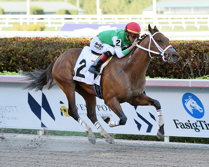 Diamond King wins a March 22 allowance at Gulfstream