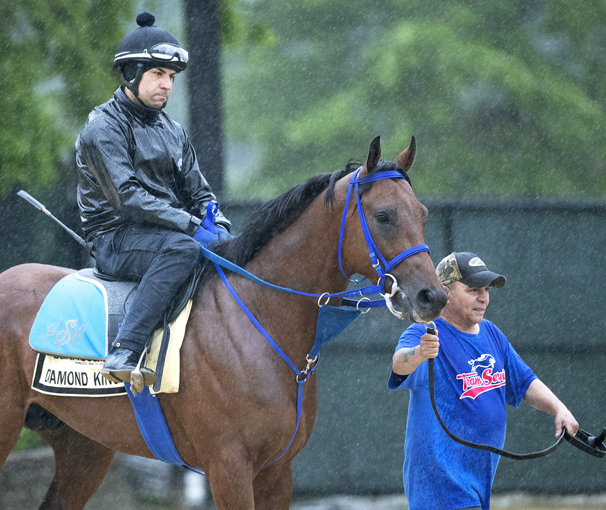 Diamond King at Pimlico in May 2018
