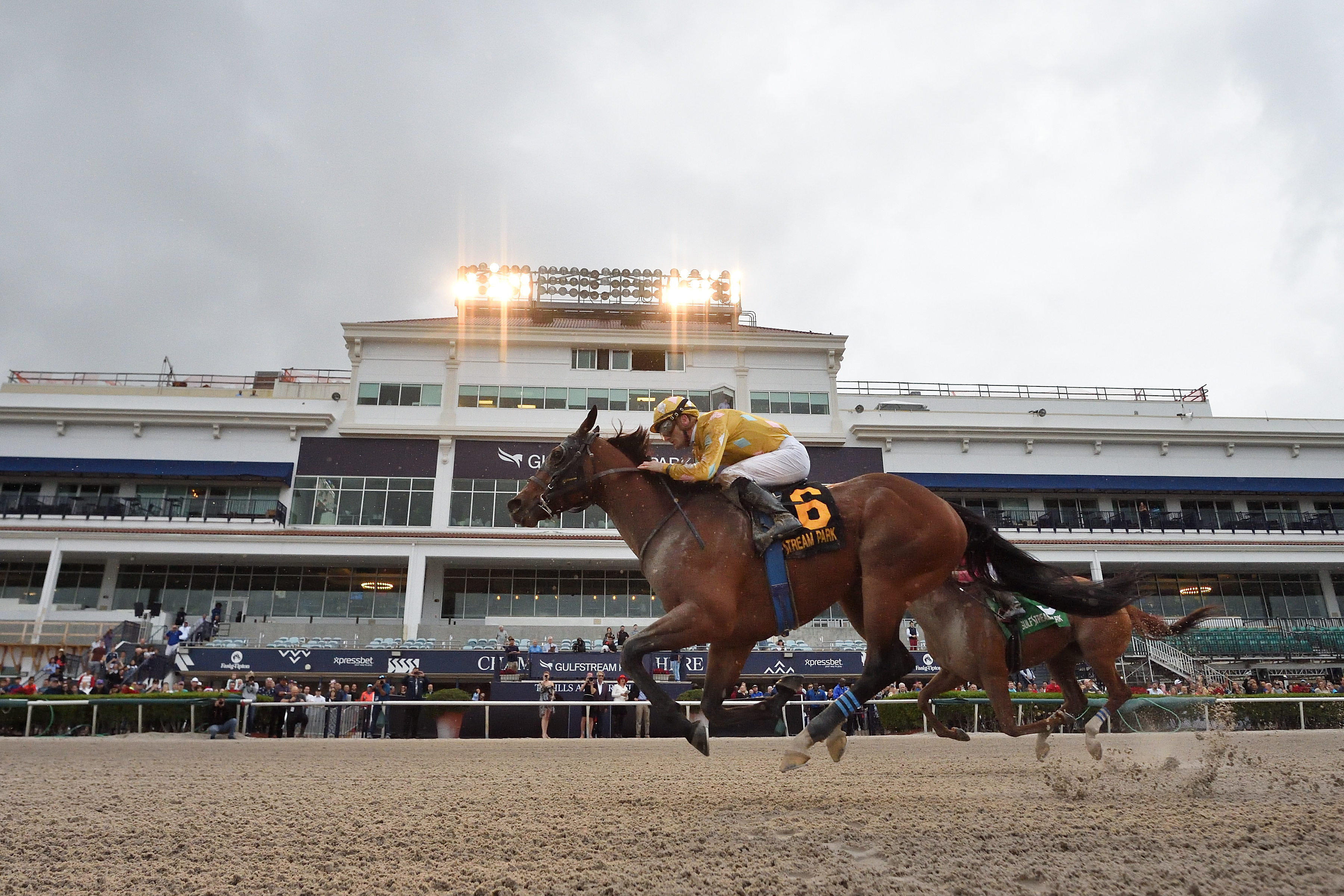 Diamond Oops wins the 2019 Mr. Prospector Stakes