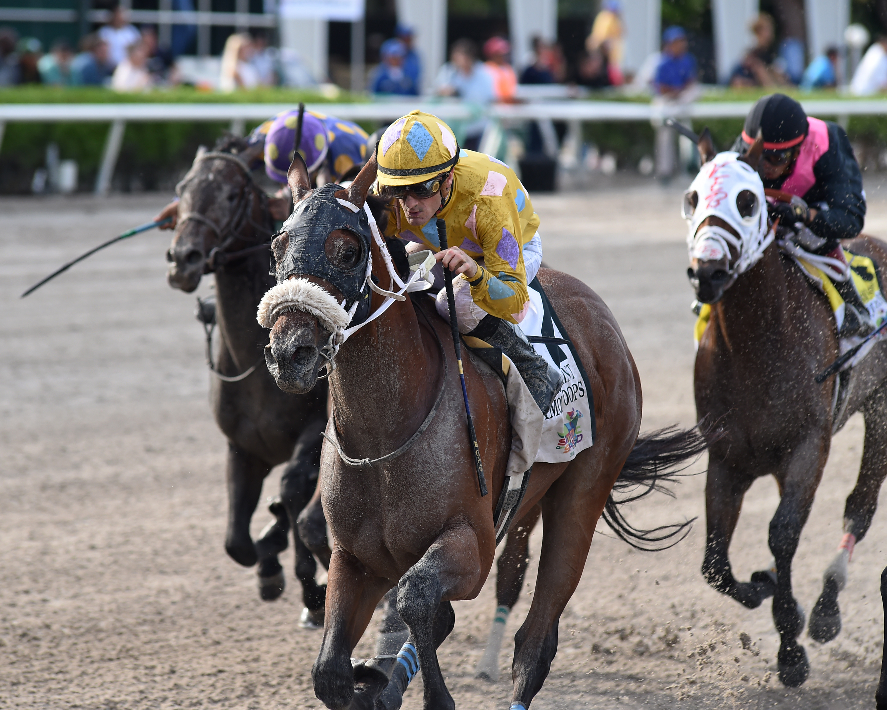 Diamond Oops wins the 2019 Smile Sprint