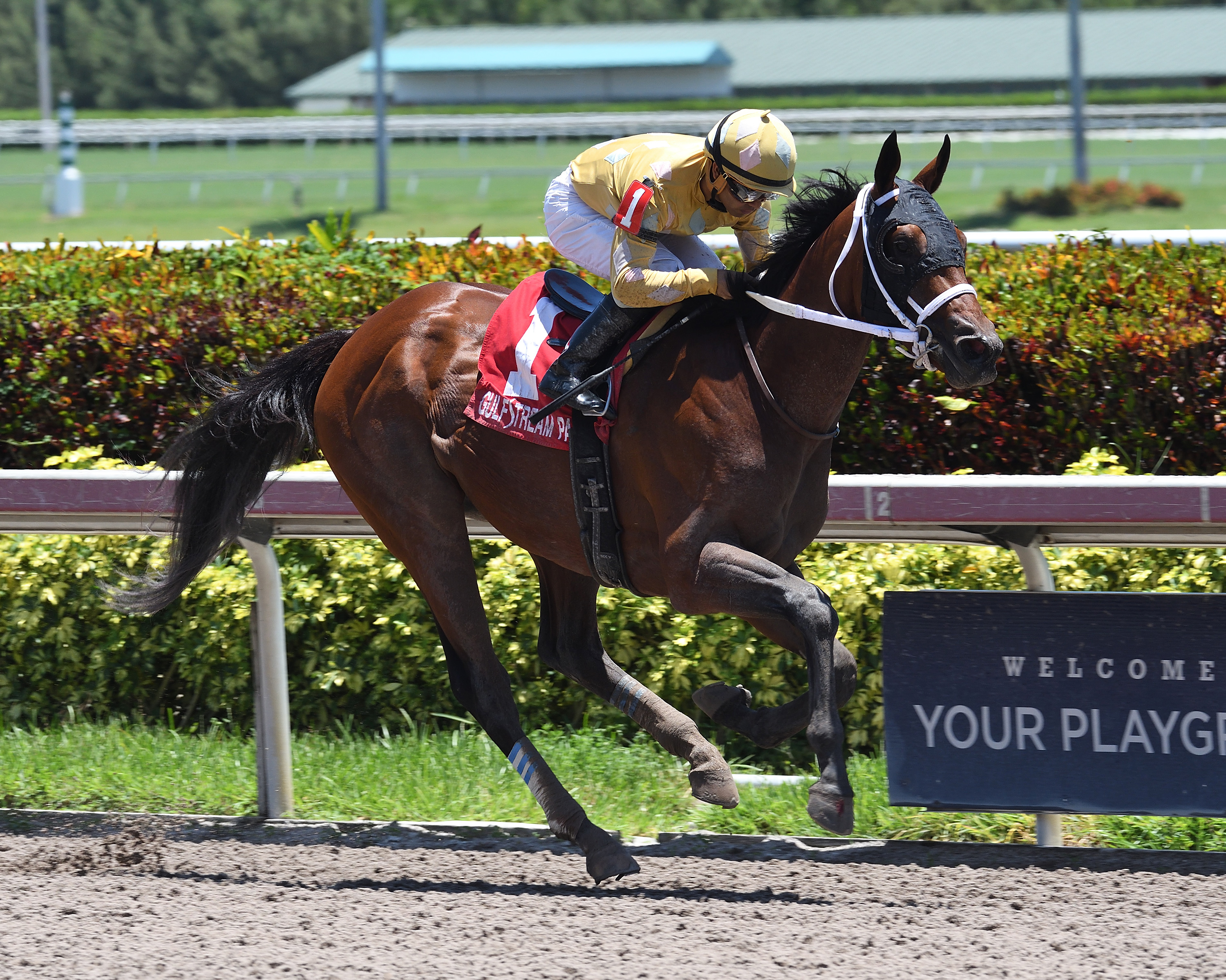 Diamond Oops wins the Kiss a Native Stakes