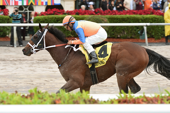 Diamond Oops wins the 2017 Buffalo Man Stakes