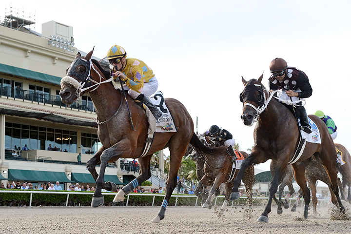 Diamond Oops wins the 2019 Smile Sprint Stakes at Gulfstream Park