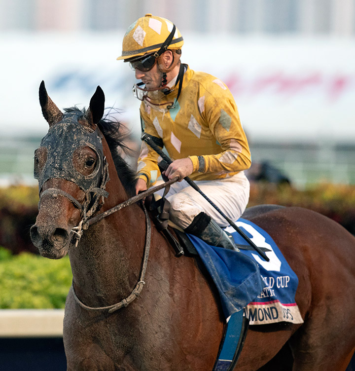 Diamond Oops at the 2020 Pegasus World Cup at Gulfstream Park