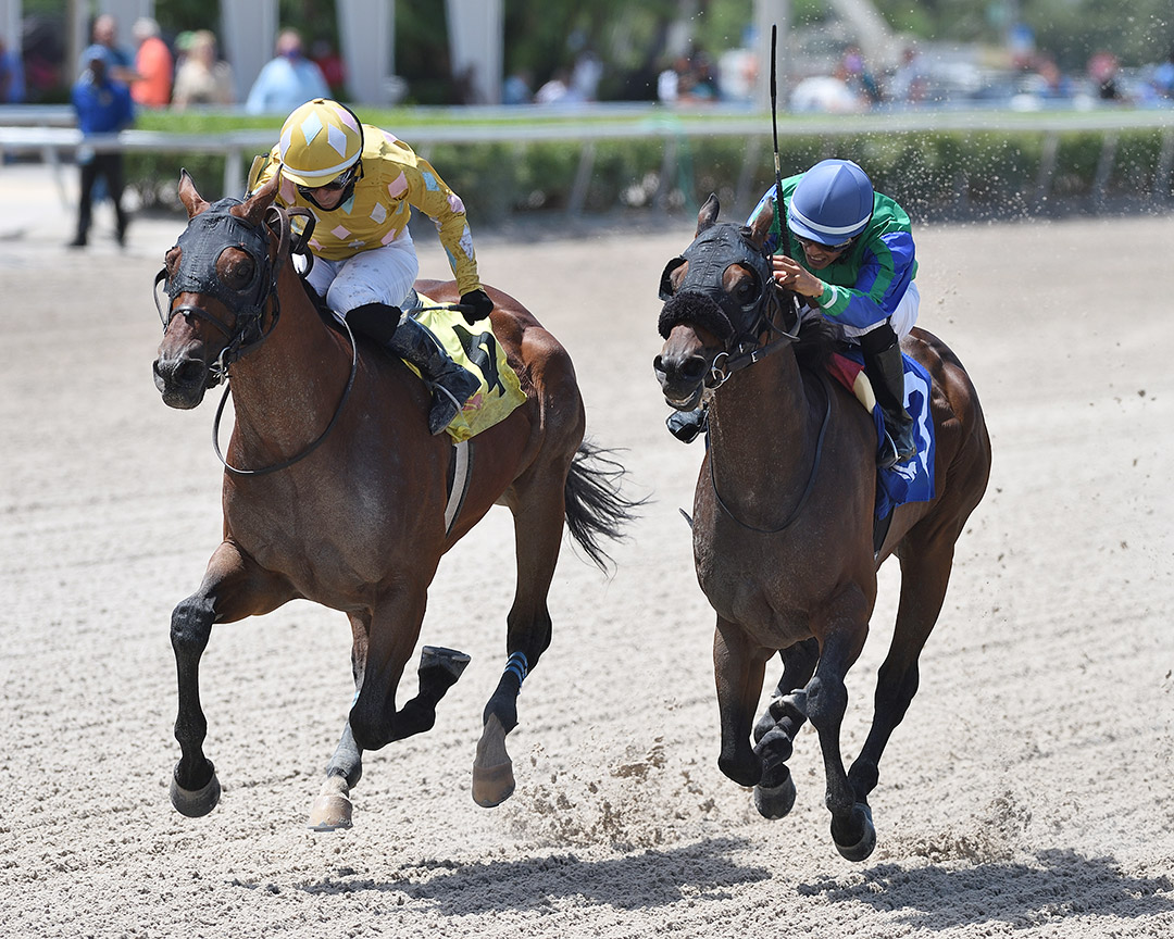 Diamond Oops (left) wins the 2021 Hollywood Lakes Overnight Handicap at Gulfstream Park