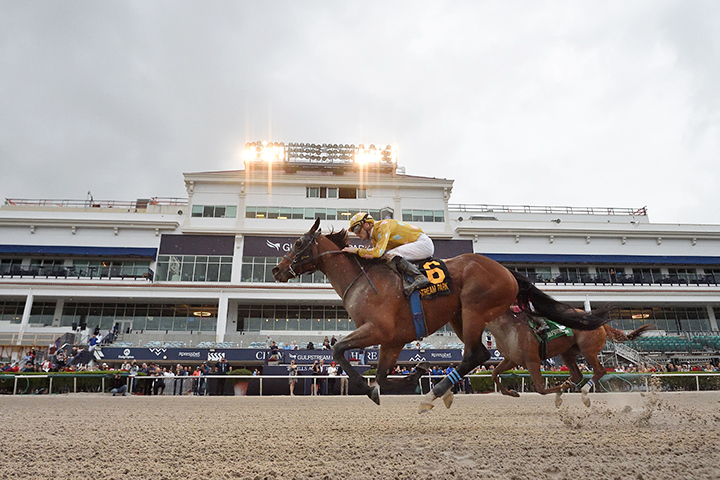 Diamond Oops wins the 2019 Mr. Prospector Stakes at Gulfstream Park