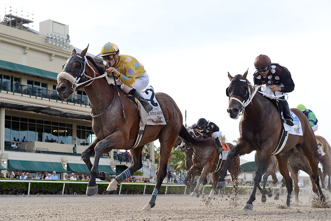 Diamond Oops wins the 2019 Smile Sprint at Gulfstream Park