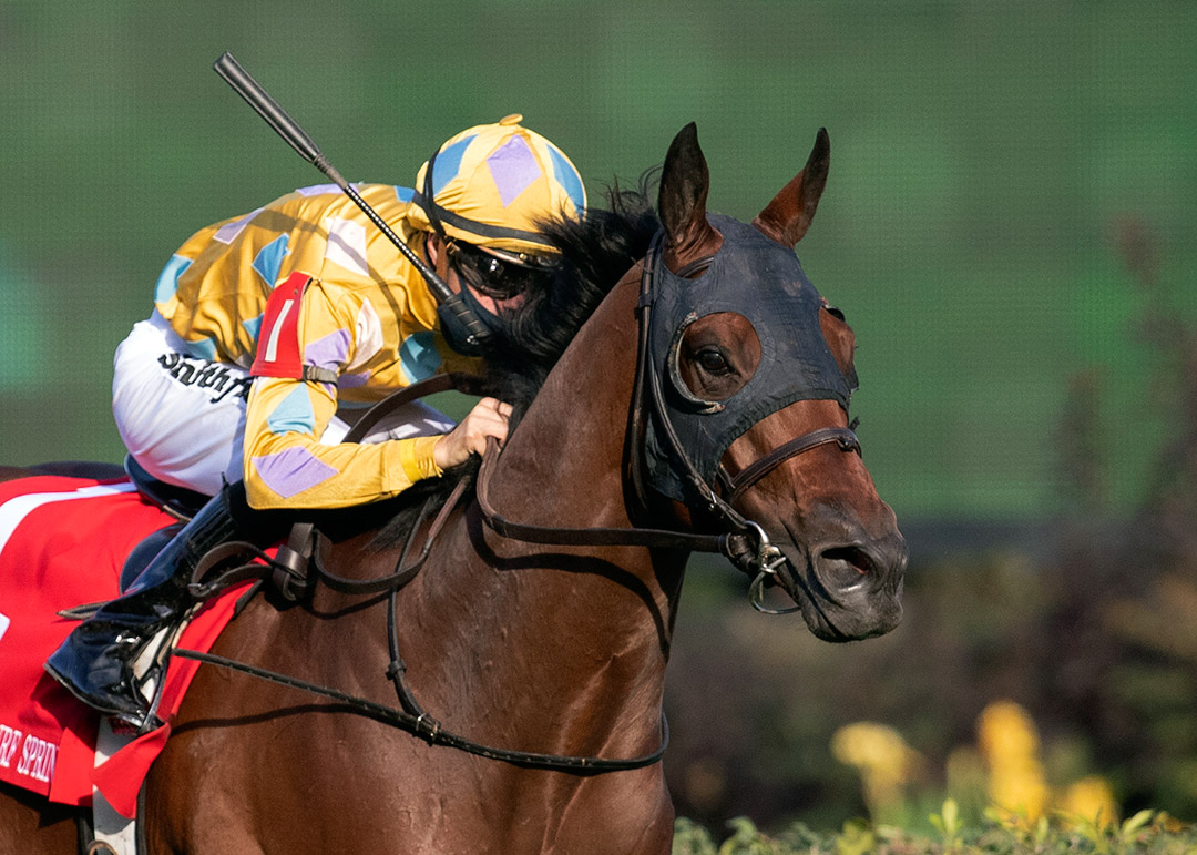 Diamond Oops wins the 2020 Twin Spires Turf Sprint at Churchill Downs
