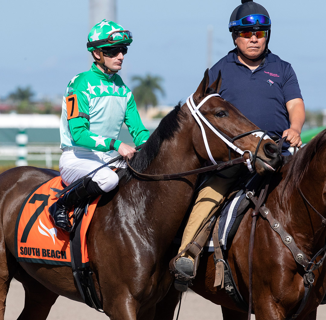 Diamond Play at Gulfstream Park in January 2020