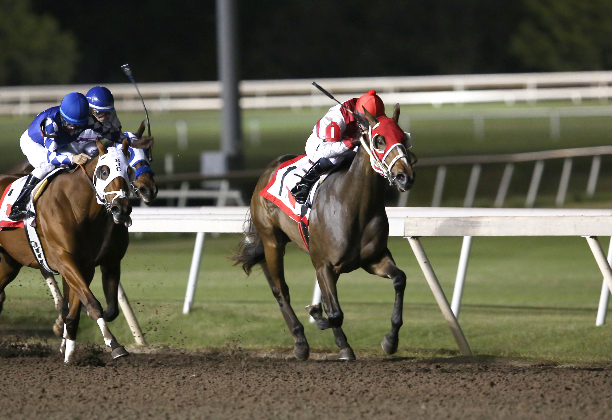Diamondandstripes wins the Oklahoma Classics Juvenile