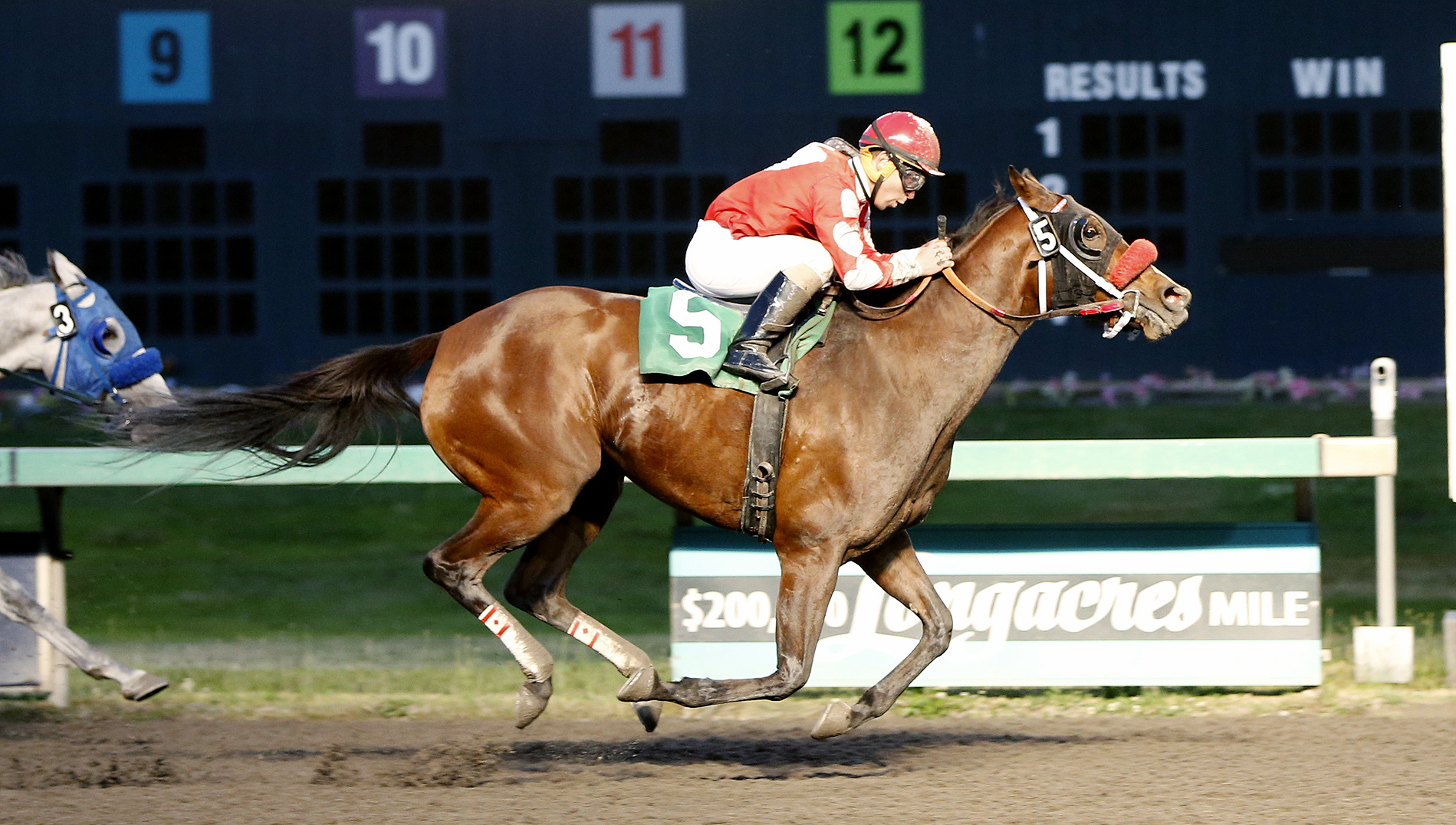 Diamonds Dena wins a claiming race on July 8