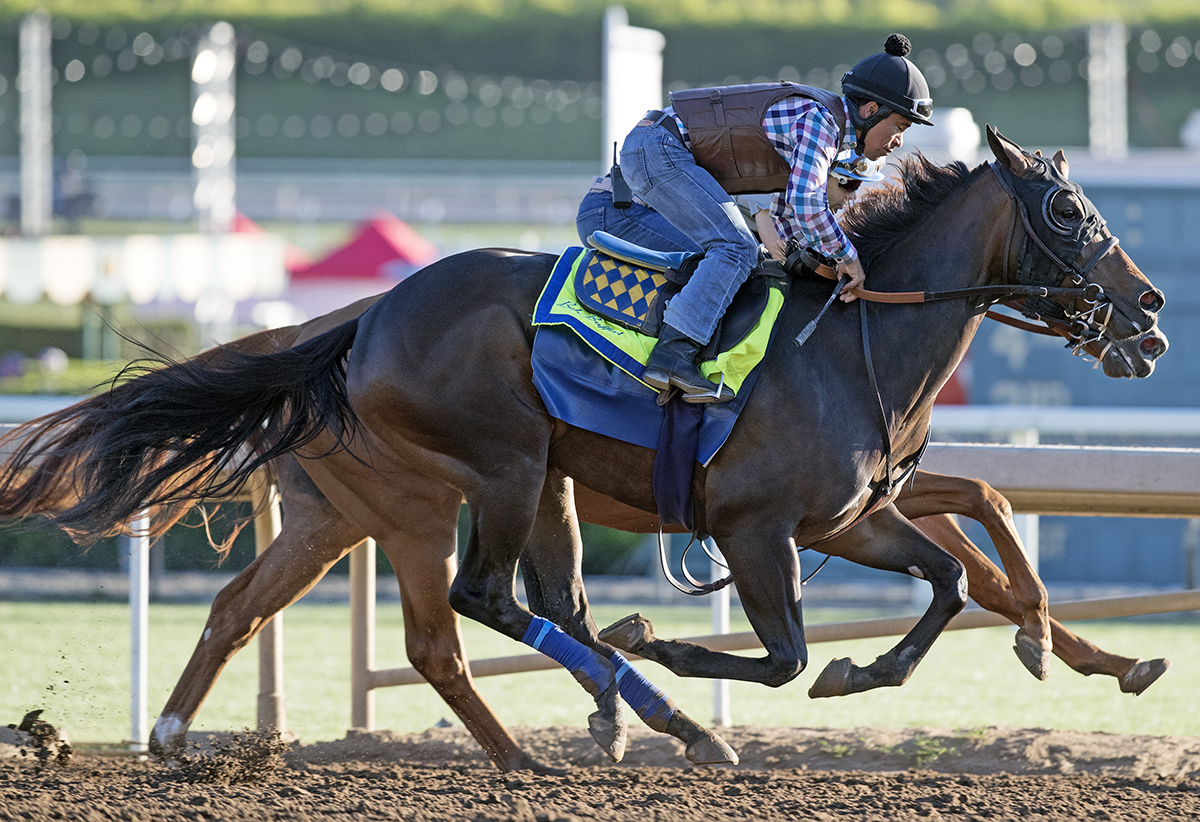 Diamondsandpearls trains at Santa Anita in June 2017