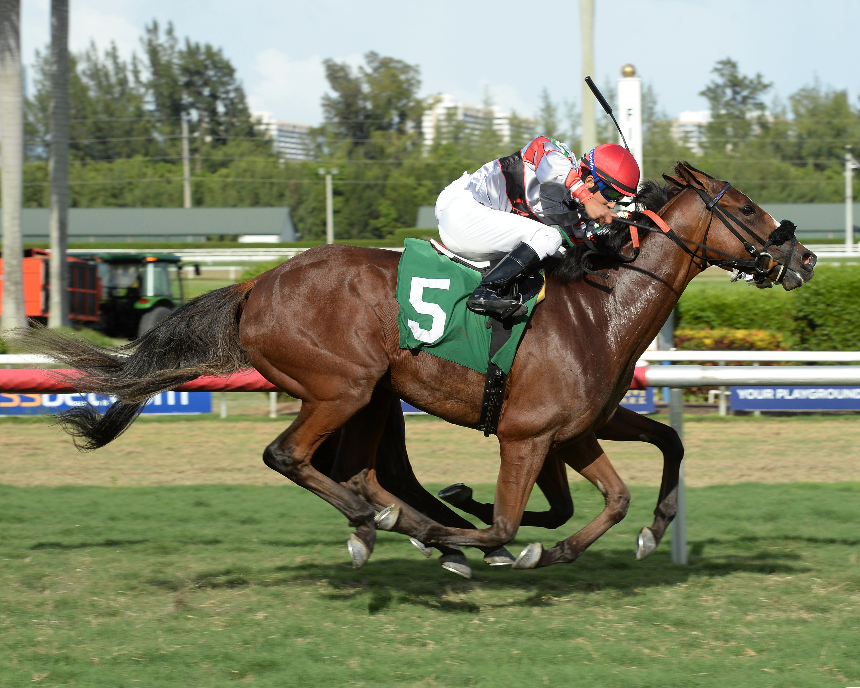 Diaz wins an August optional claiming race at Gulfstream