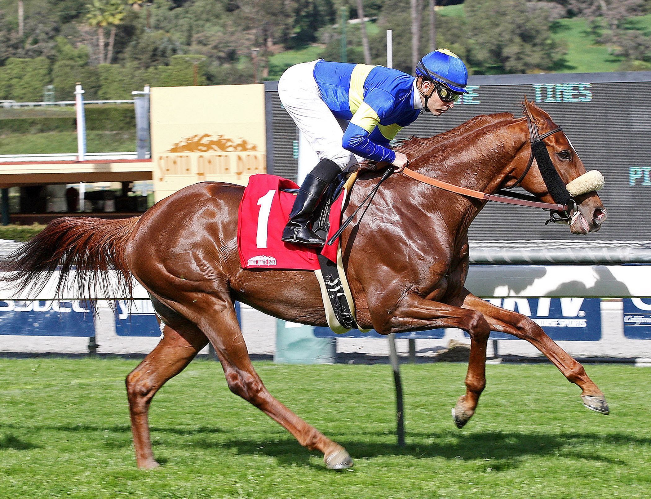 Dice Flavor, allowance race