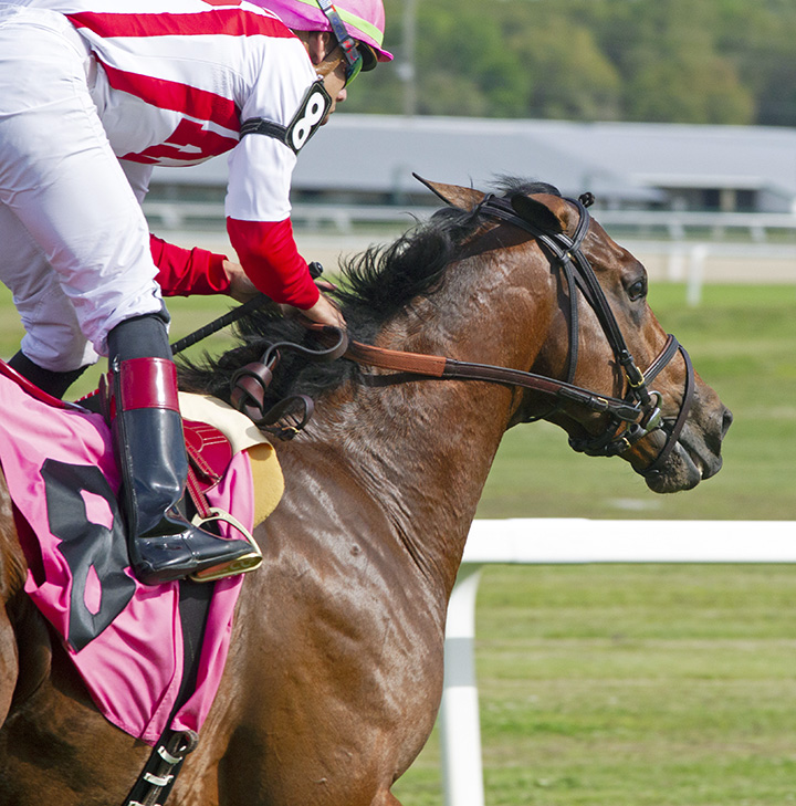 Digital Age wins the Columbia Stakes