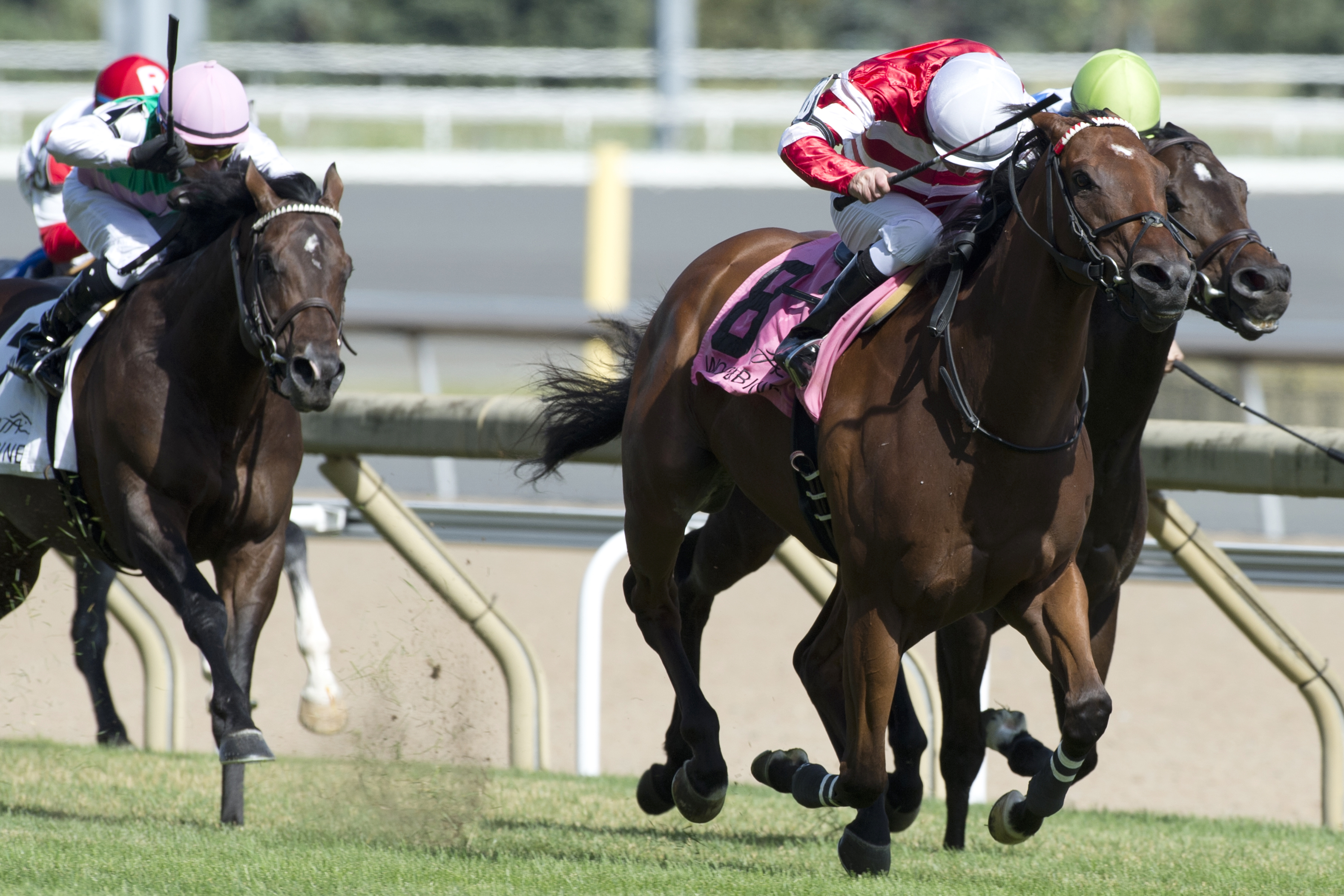 Dimension wins the King Edward Stakes