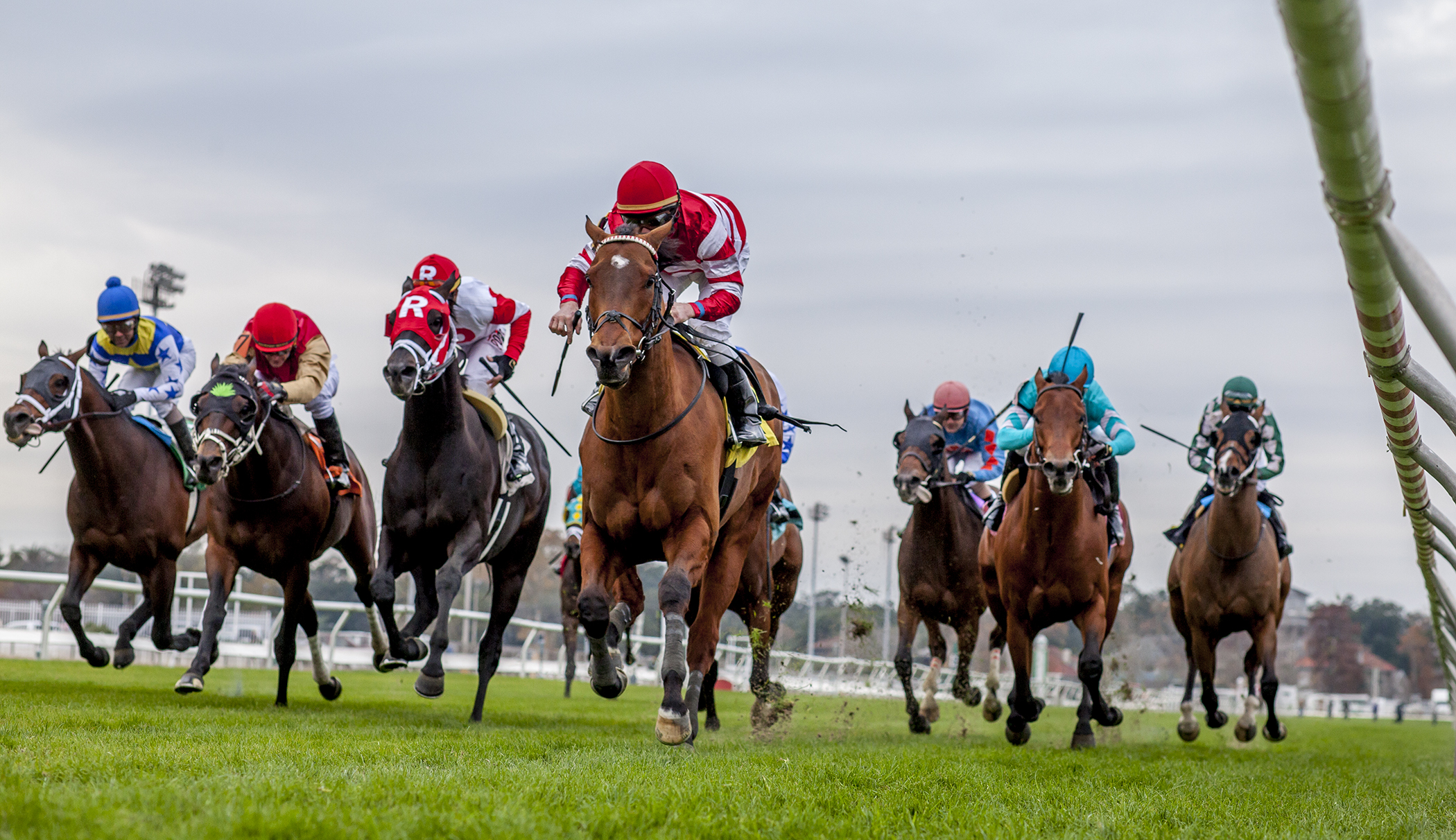 Dimension (center) wins the 2017 Buddy Diliberto Memorial