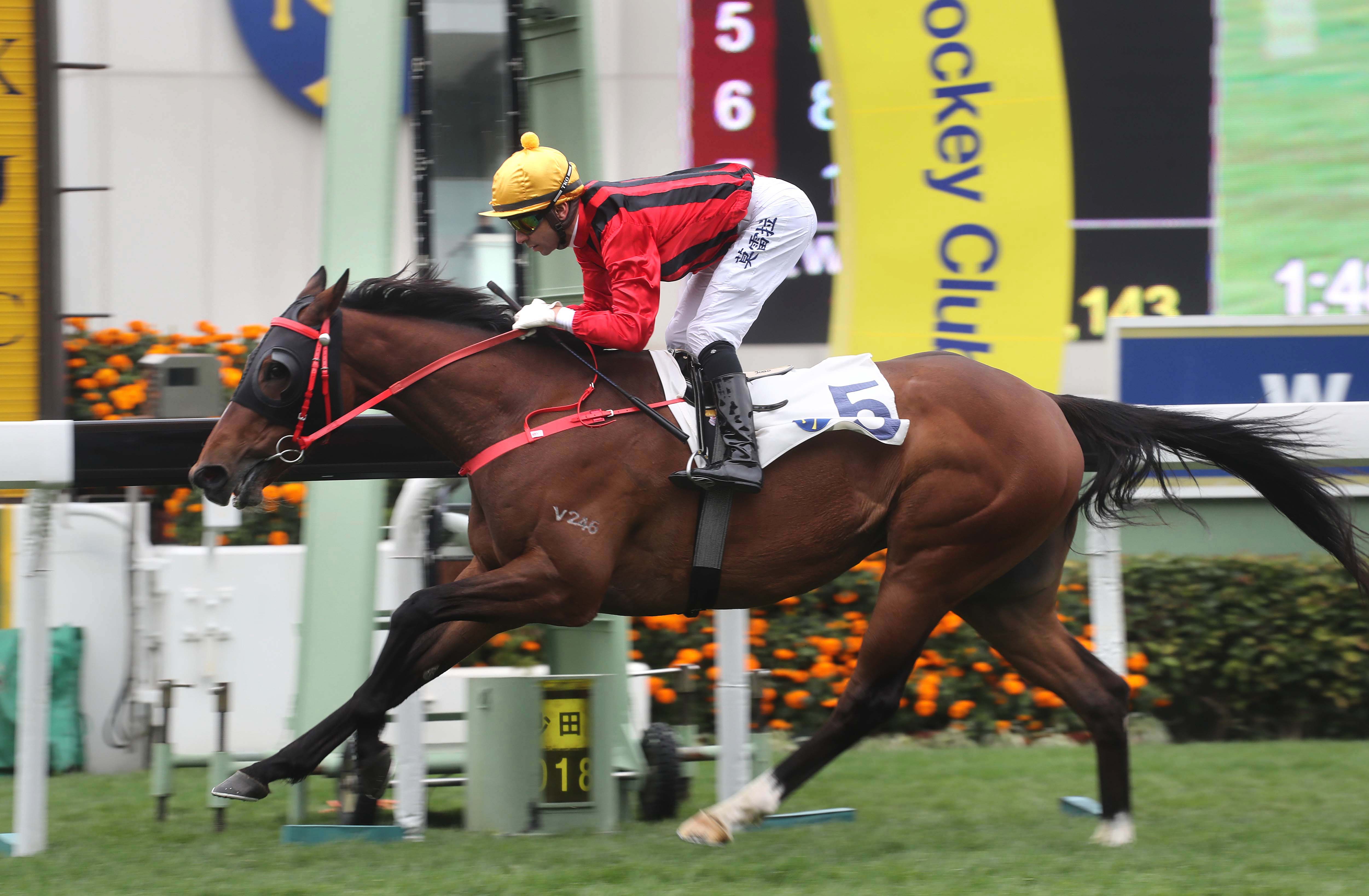 Dinozzo wins the 2018 Centenary Vase Handicap