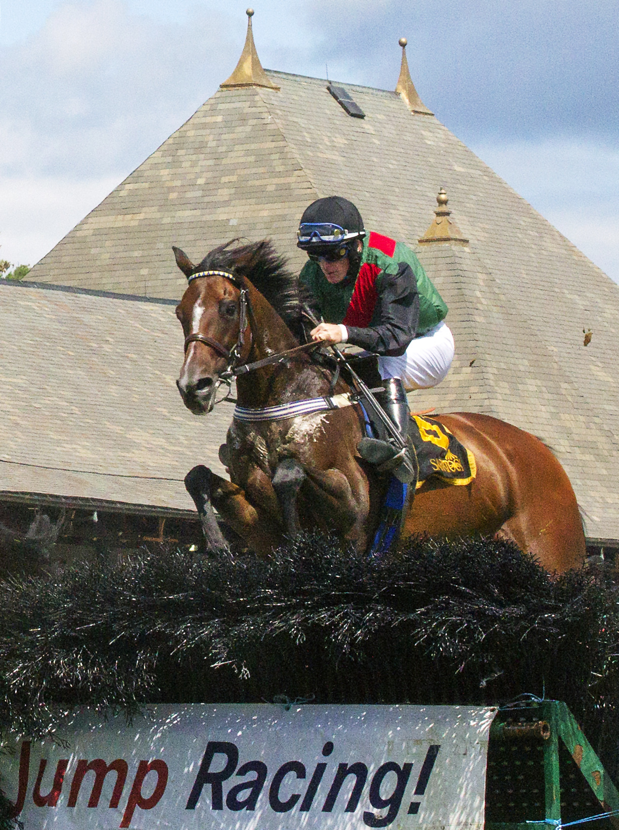 Diplomat wins the 2017 NY Turf Writers Cup