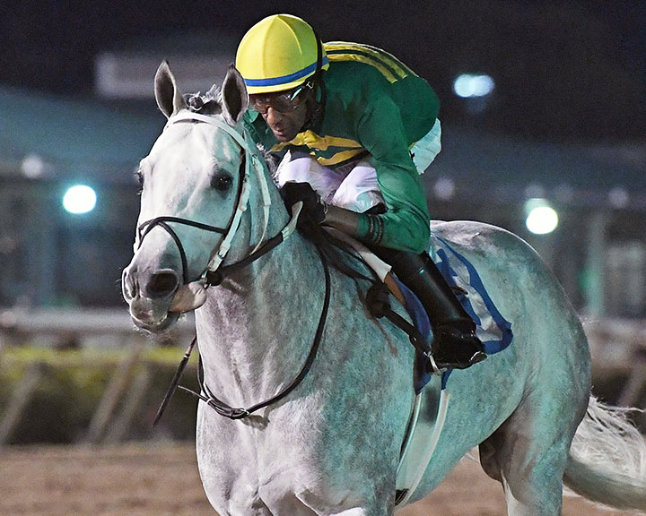 Direct Dial wins the 2019 Spirit of Texas Stakes