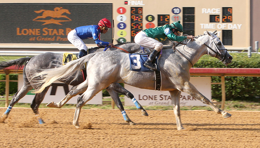 Direct Dial wins the 2021 Wayne Hanks Memorial Stakes at Lone Star Park