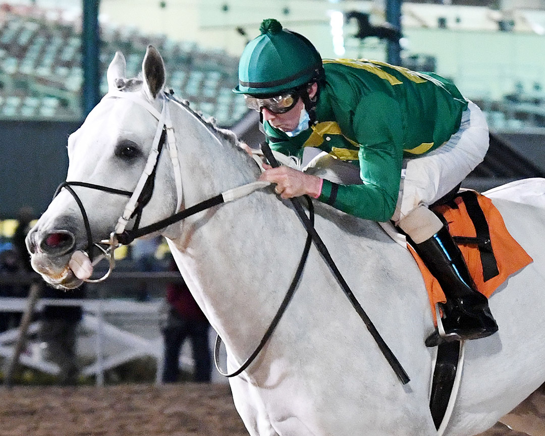 Direct Dial wins the 2021 H-Town Stakes at Sam Houston Race Park