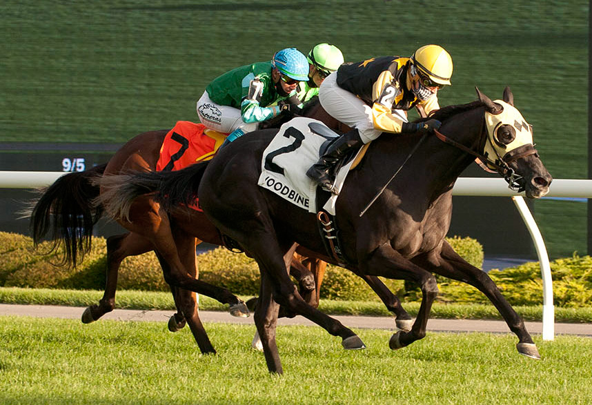 Dirty Dangle wins the 2020 Woodbine Cares Stakes at Woodbine