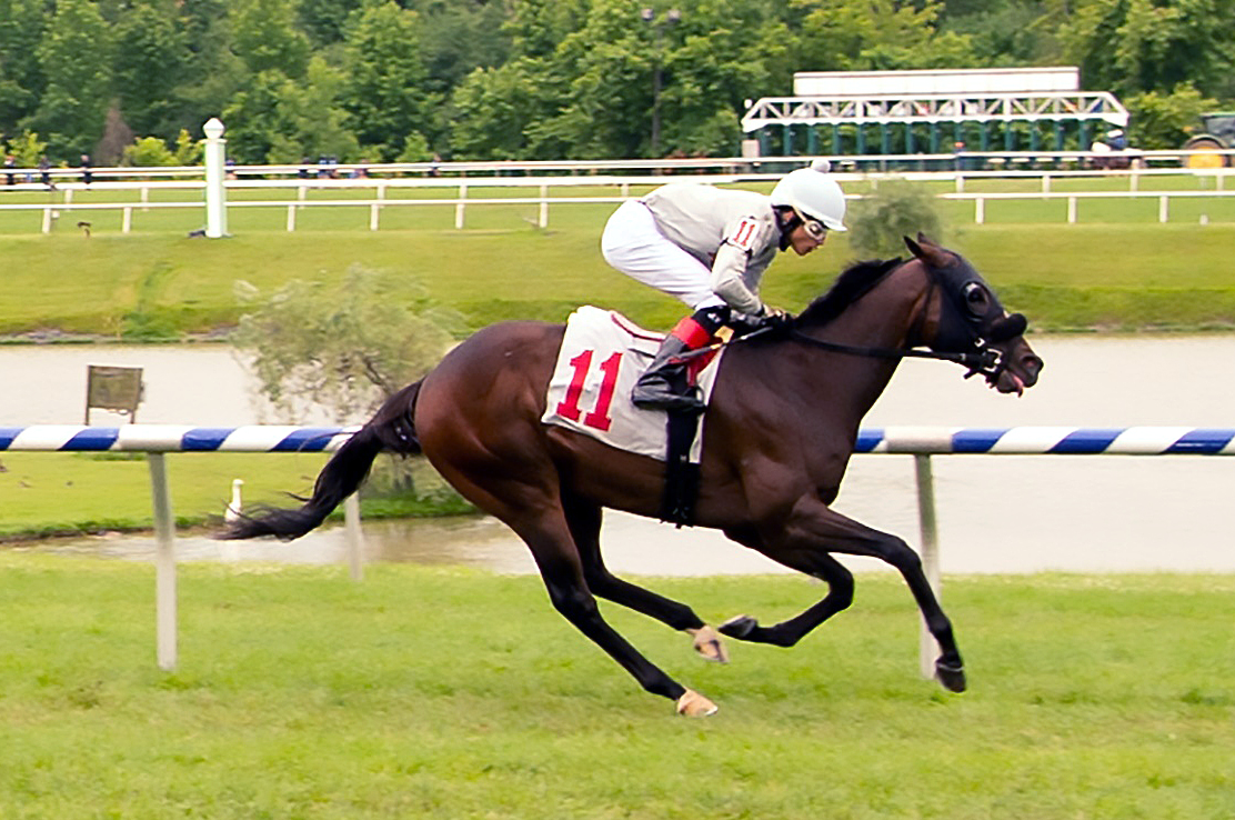 Dirty wins a June 22 allowance race at Laurel