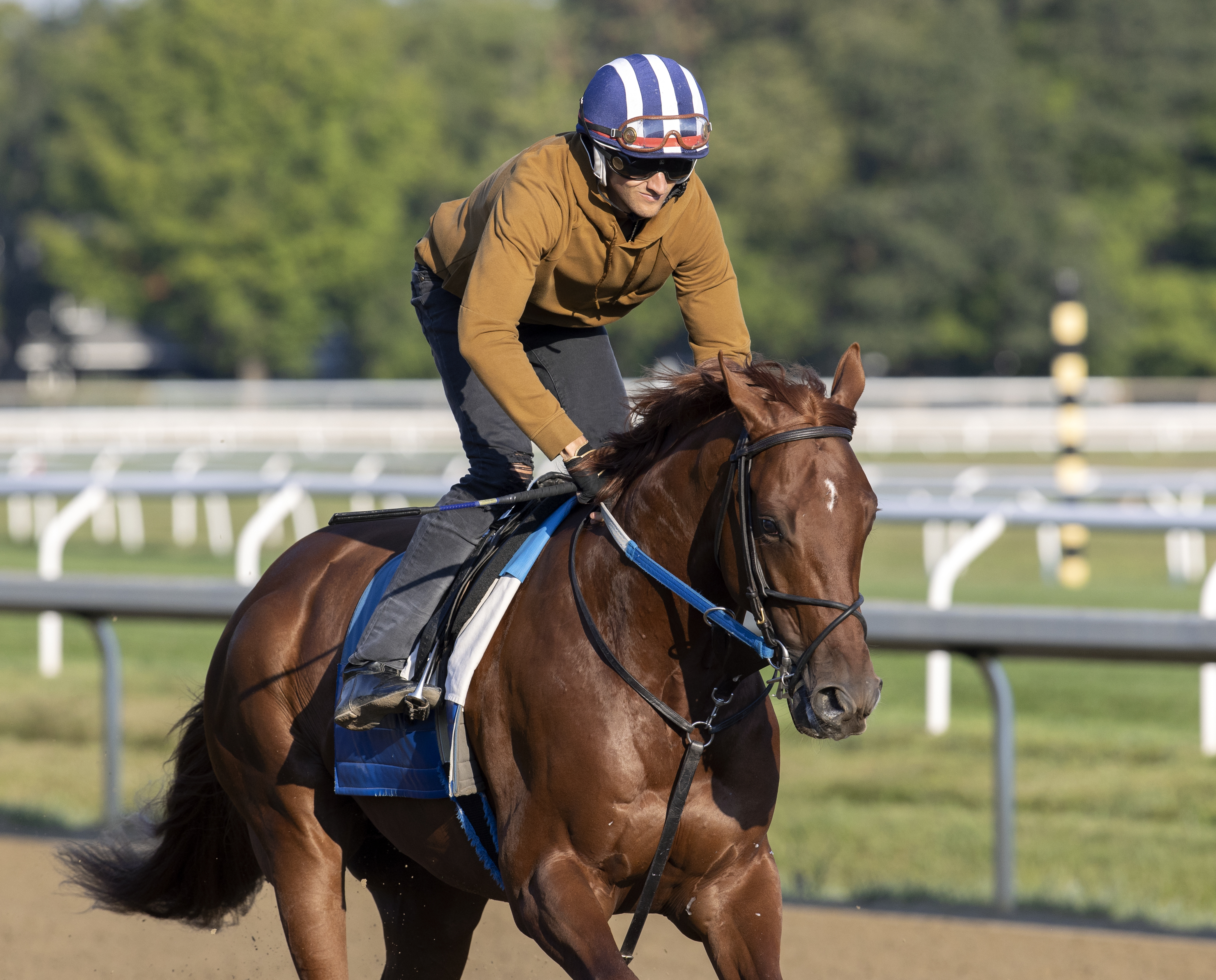 Disarm trains at Saratoga Aug 20 2022