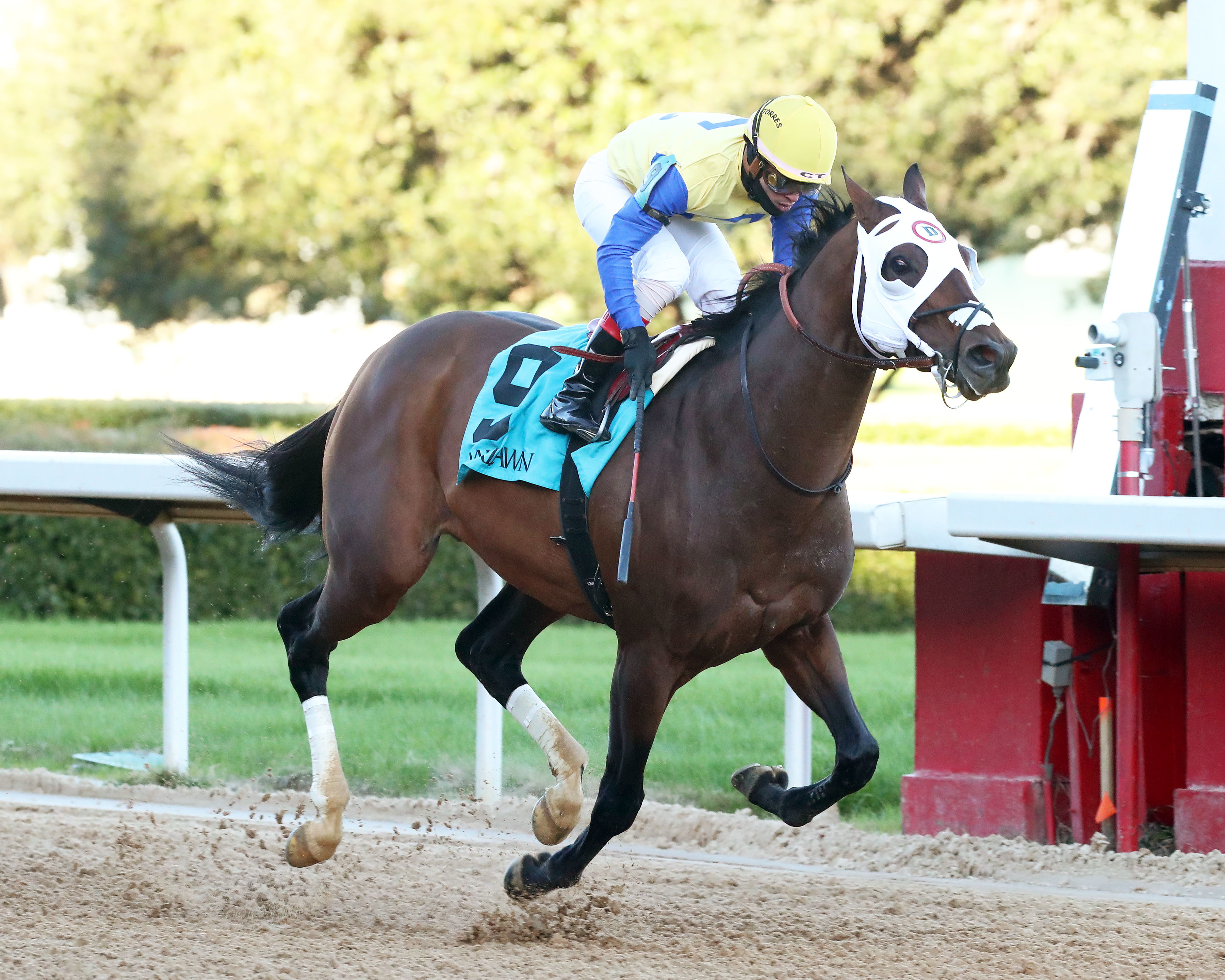 Disc Jockey wins at OP Dec 27 2022