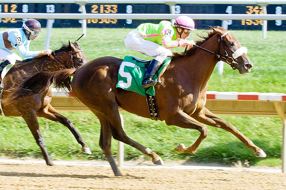 Disco Barbie wins a 2012 maiden race