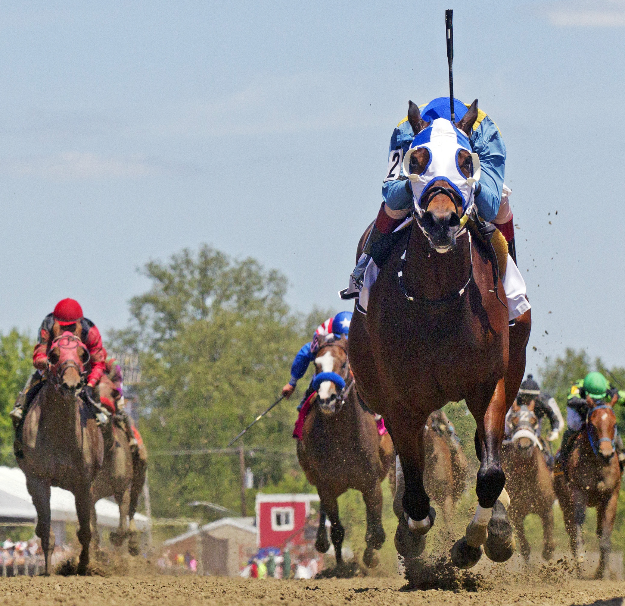Disco Chick wins the Skipat Stakes