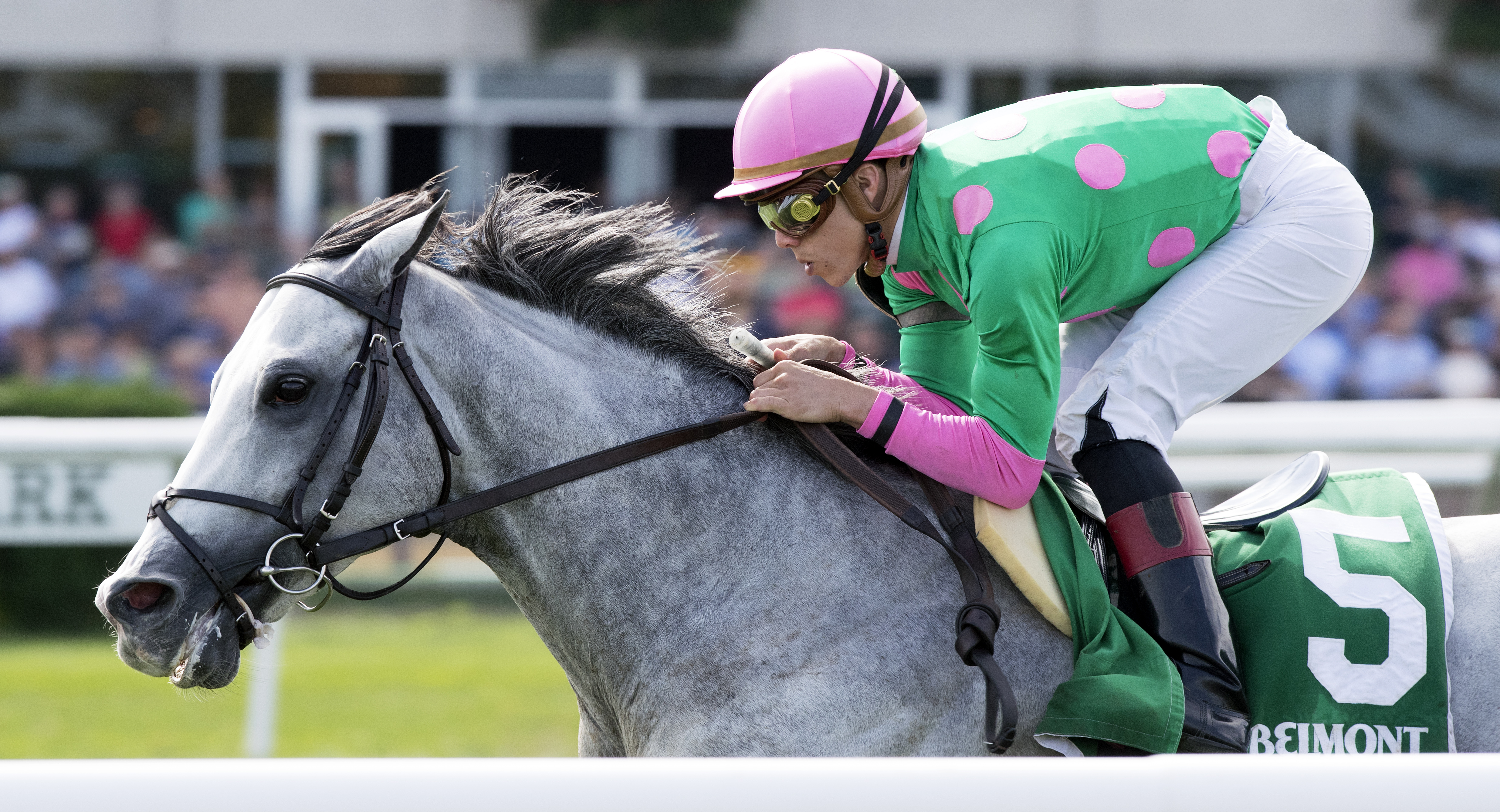 Disco Partner wins the 2017 Belmont Turf Sprint Invitational