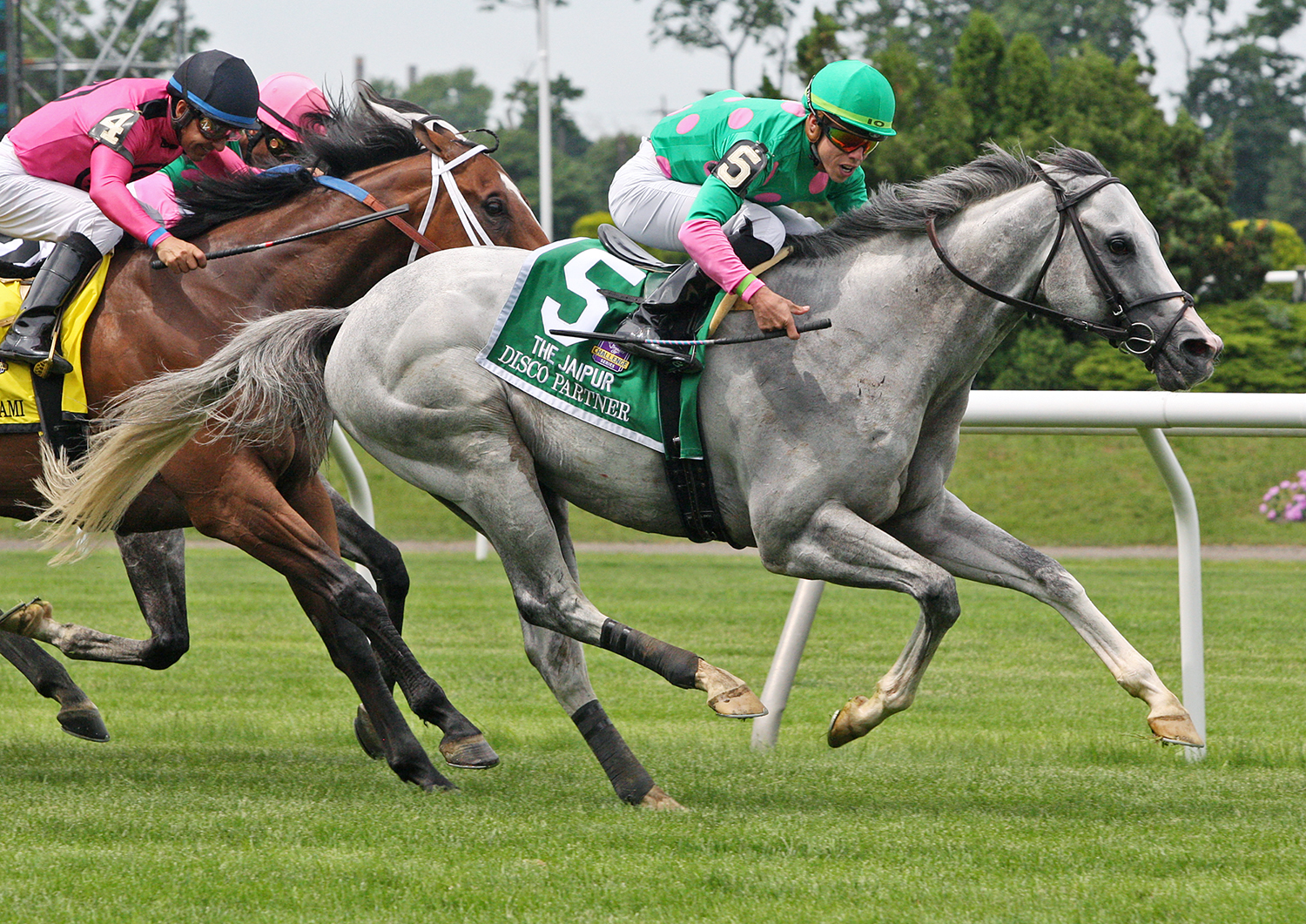 Disco Partner wins the 2018 Jaipur