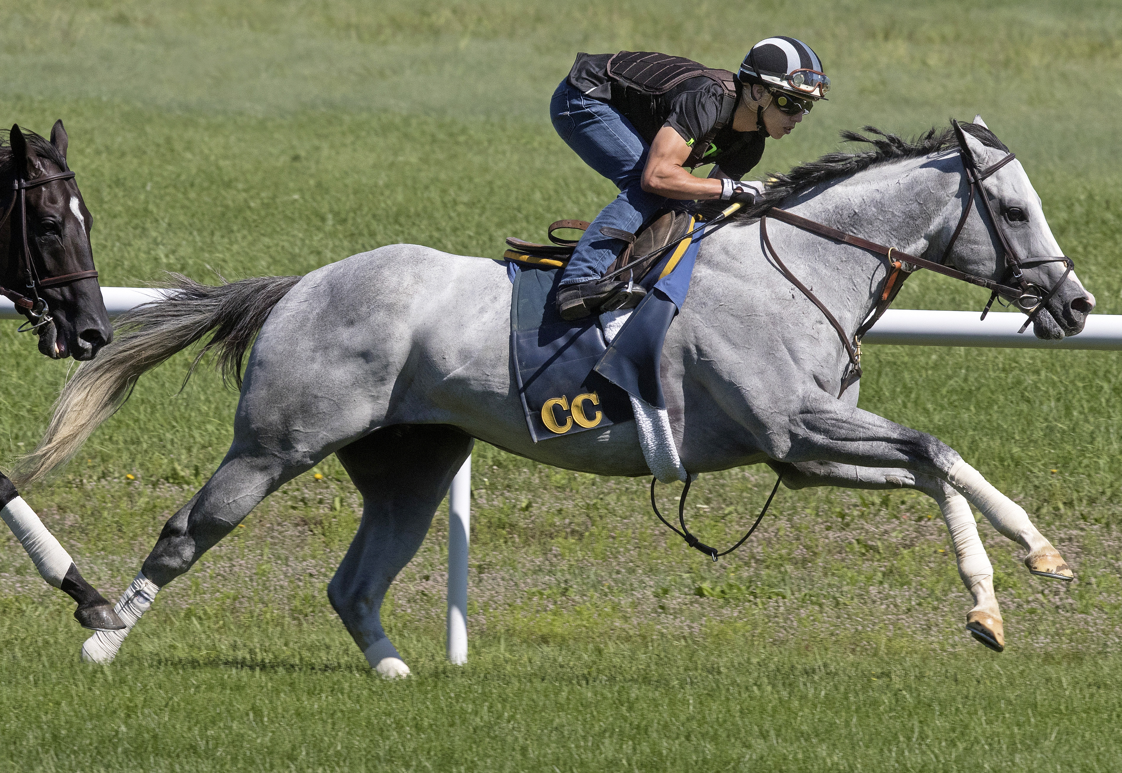 Disco Partner trains at Saratoga on July 30