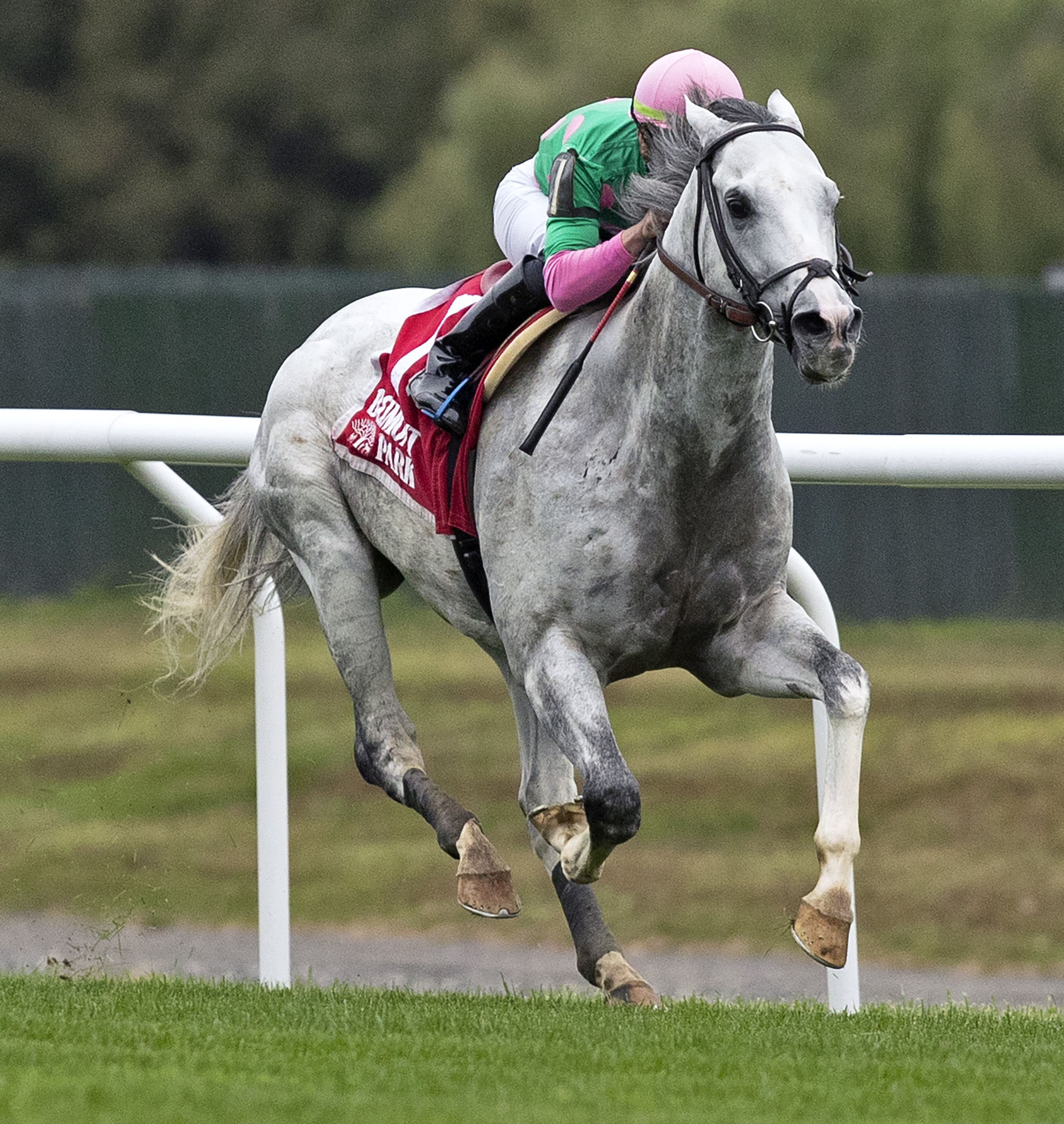 Disco Partner wins the 2018 Belmont Turf Sprint Invitational