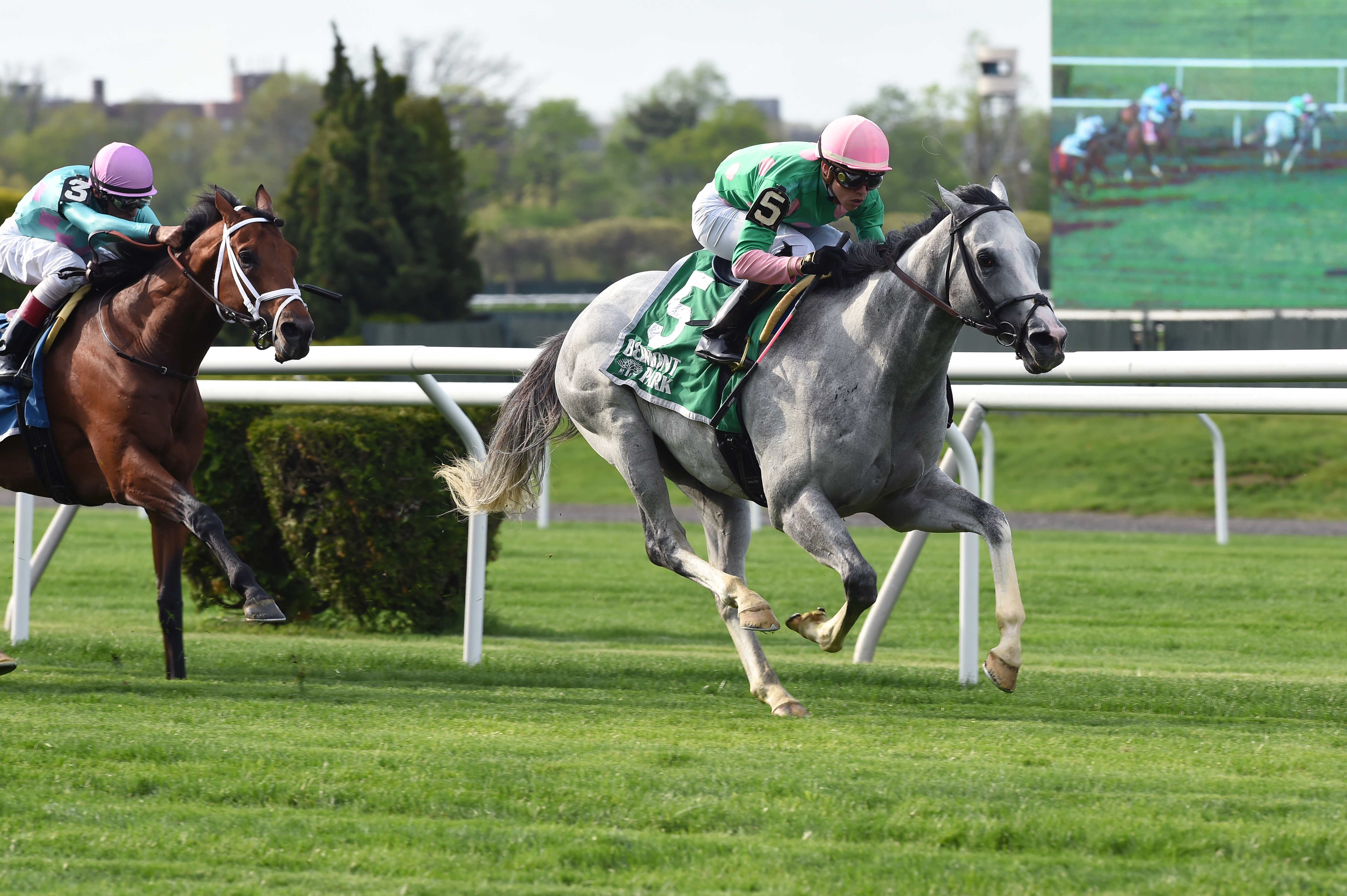 Disco Partner wins the Elusive Quality
